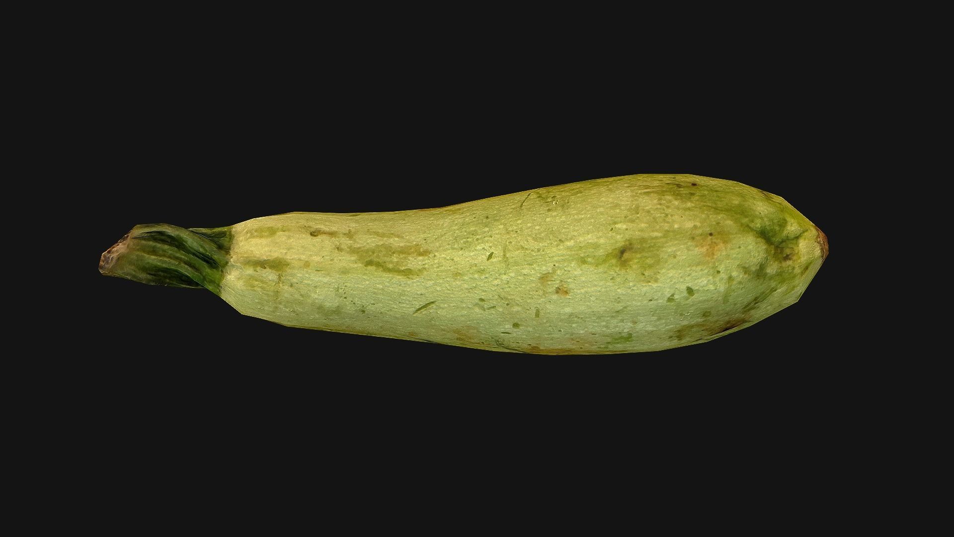 Marrow squash Low-poly 3D model_19
