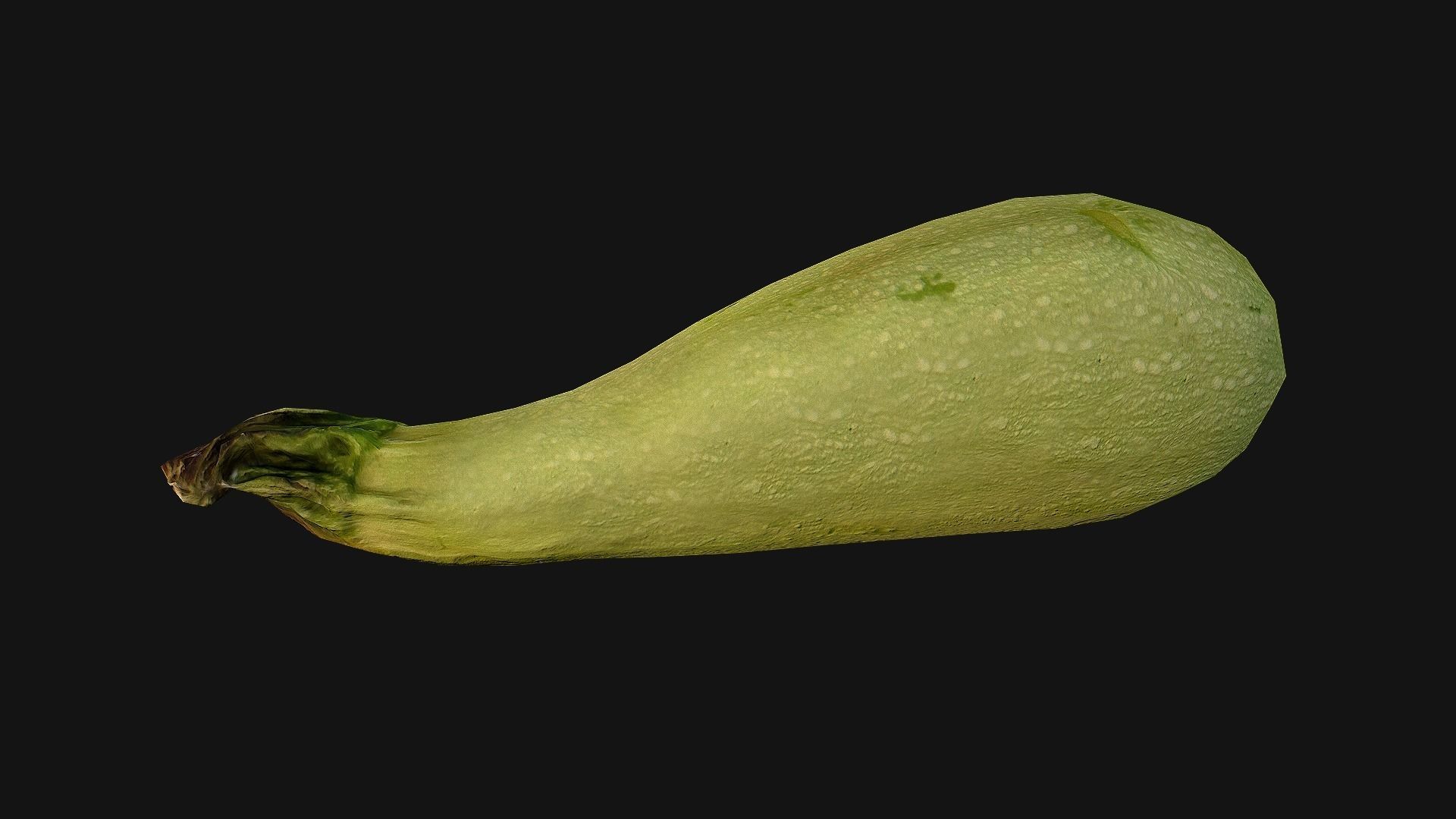 Marrow squash Low-poly 3D model_17