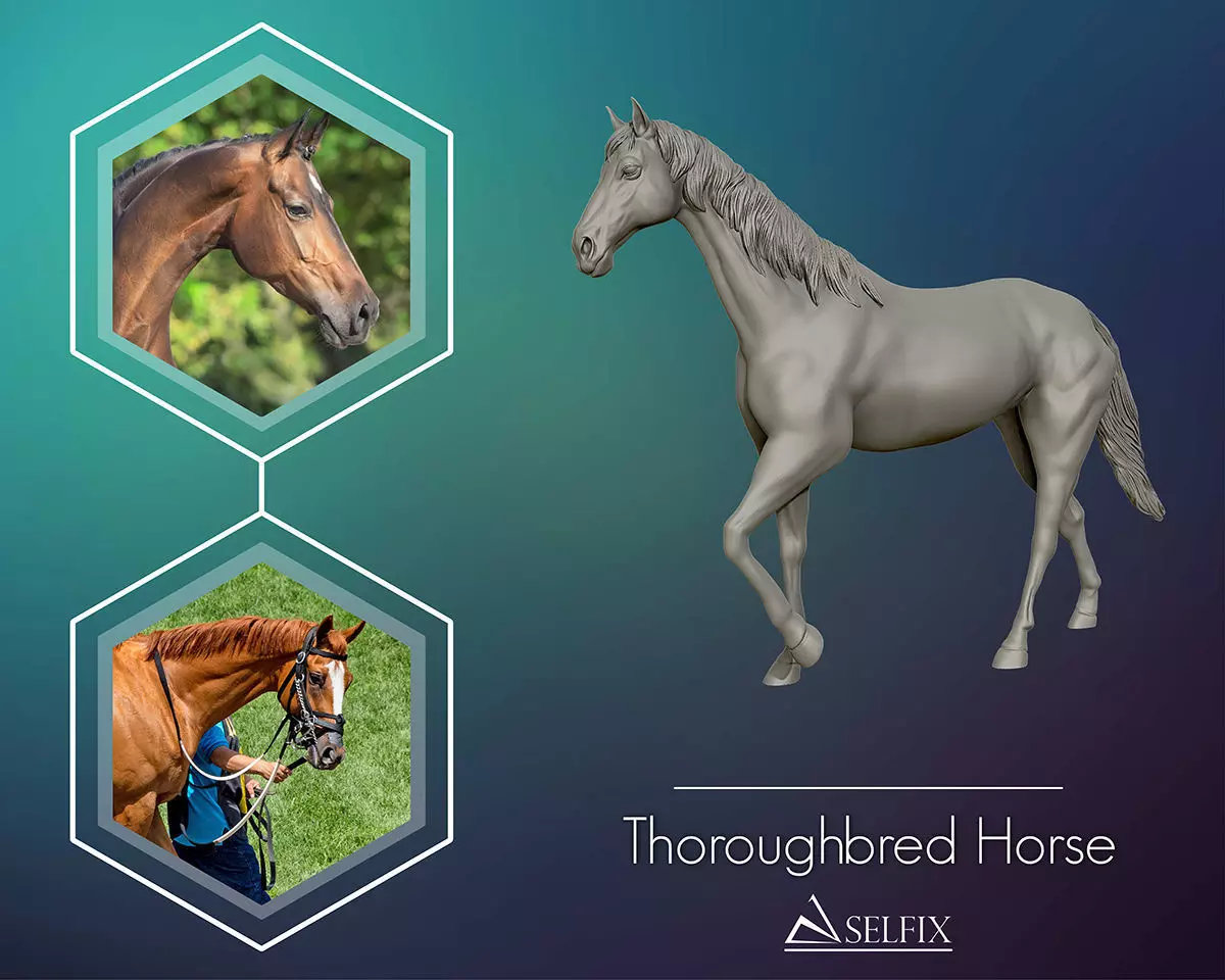 Thoroughbred Horse model 3D print model