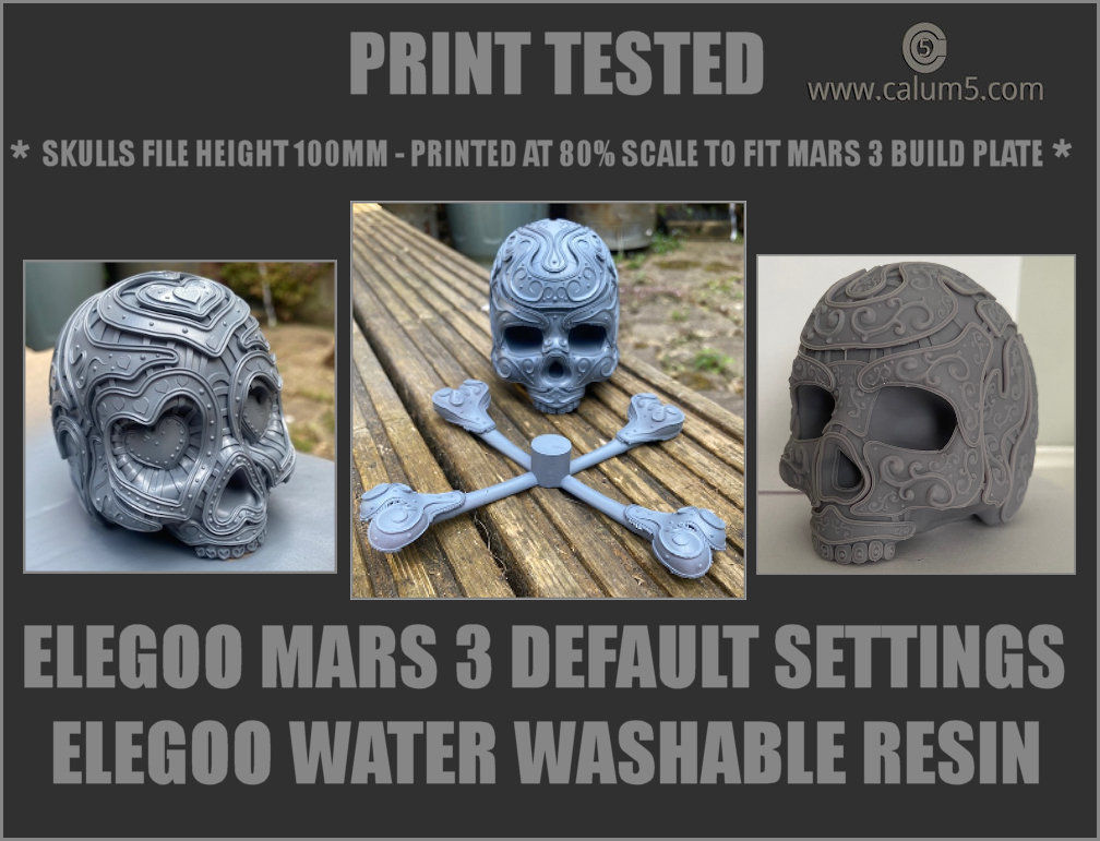 3 Detailed Skulls Set 3D print model_1