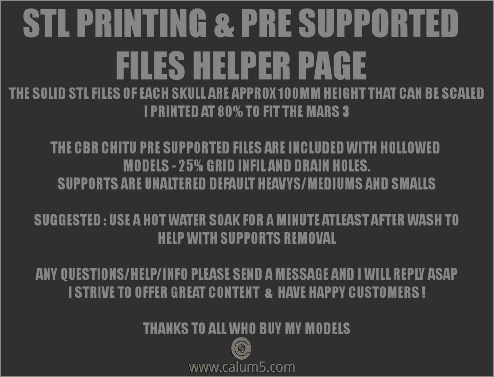 3 Detailed Skulls Set 3D print model_22