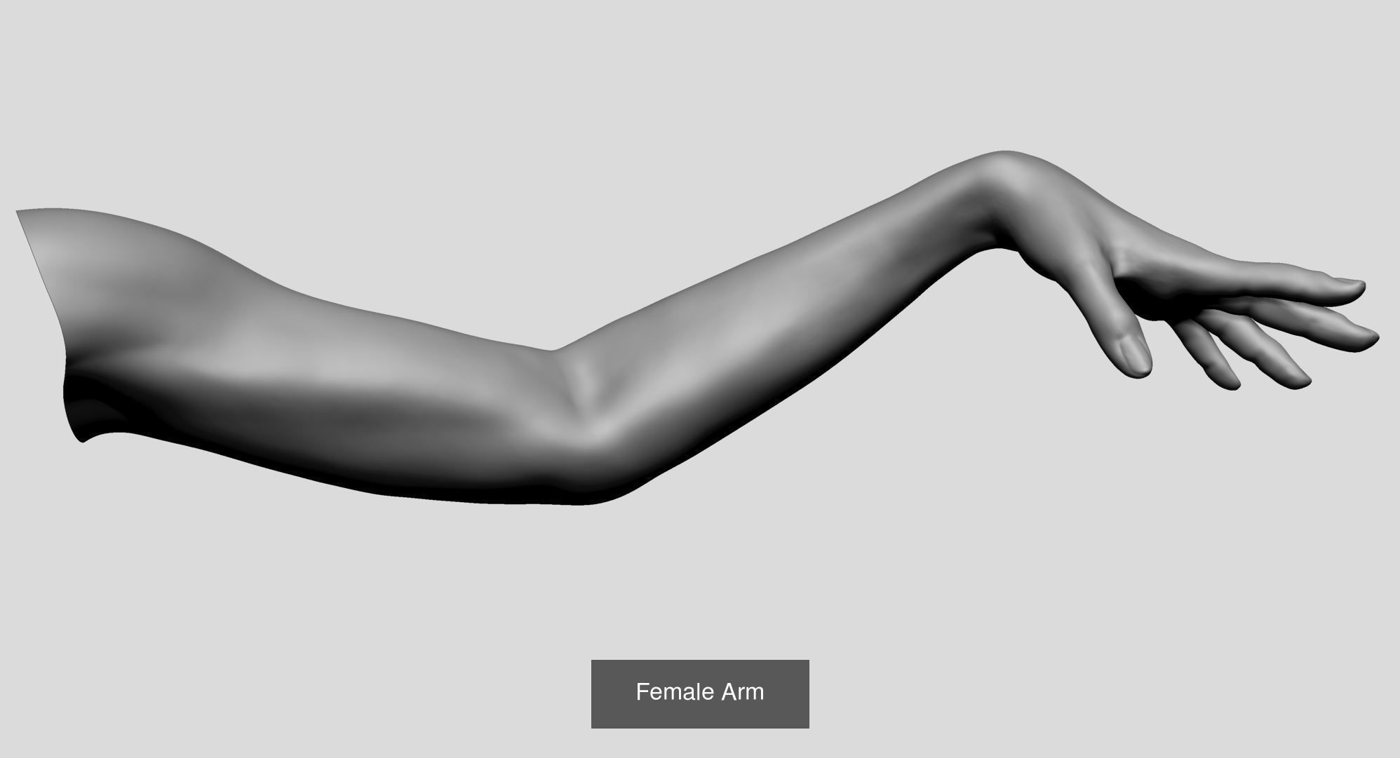 Hand - Arm Collectian A 3D Model Collection_9