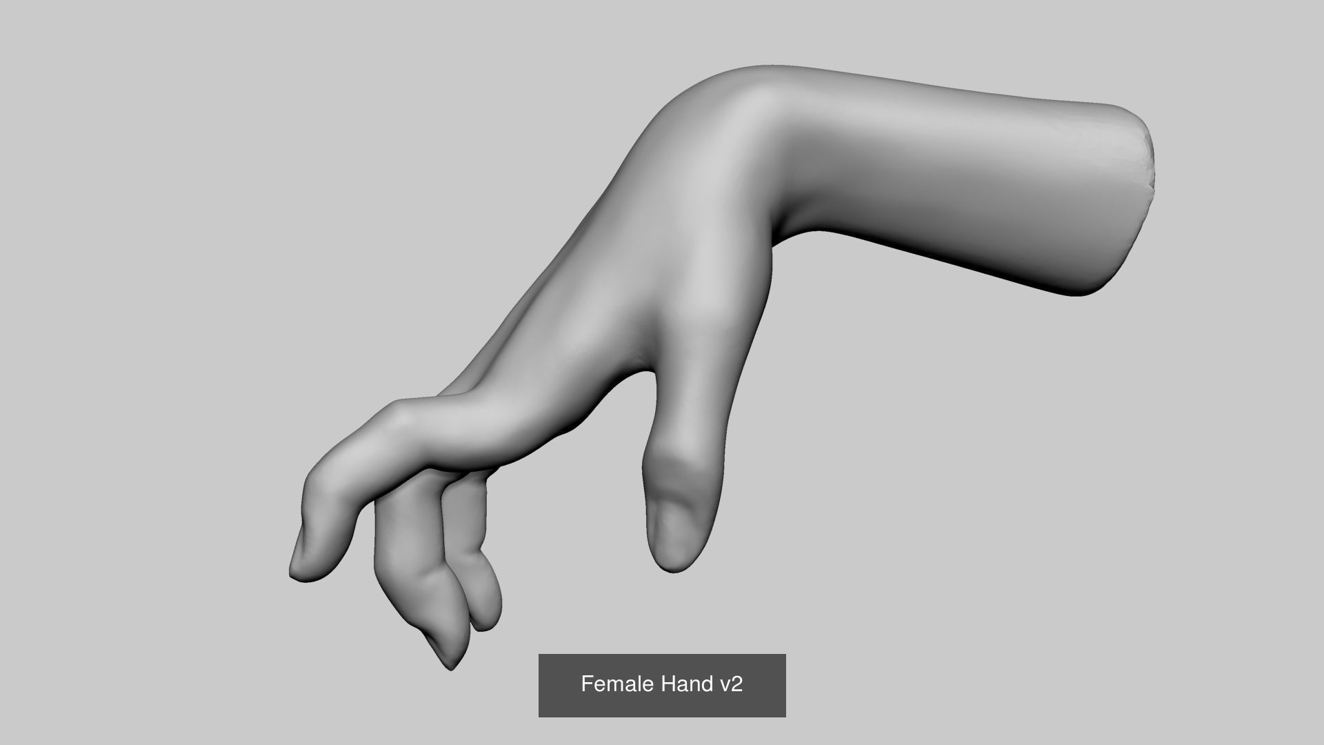 Hand - Arm Collectian A 3D Model Collection_2