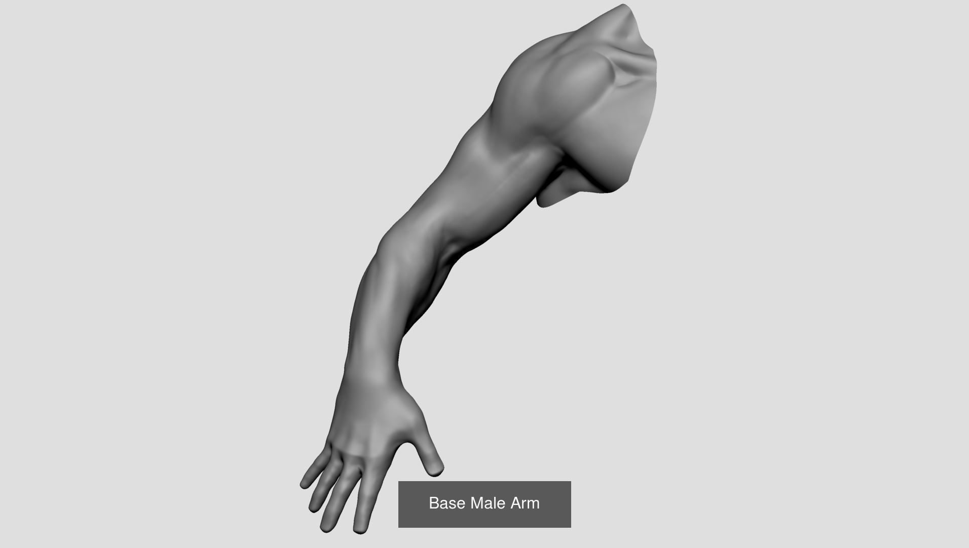Hand - Arm Collectian A 3D Model Collection_5