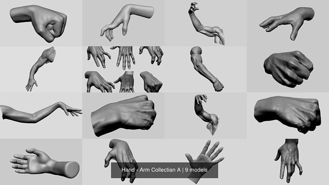 Hand - Arm Collectian A 3D Model Collection