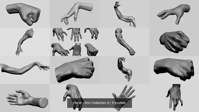 Hand - Arm Collectian A 3D Model Collection