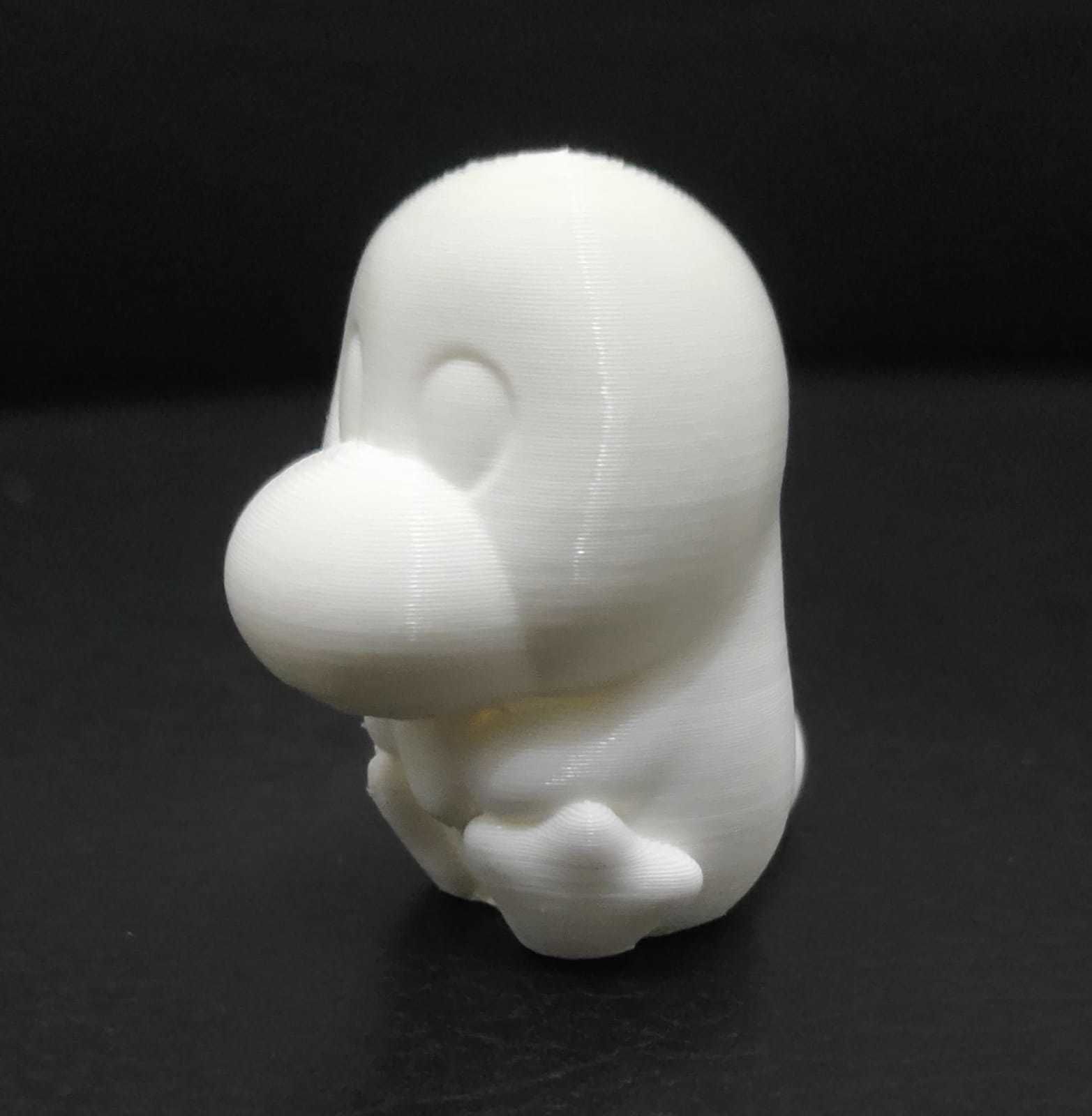 Platypus Heart 3D print model_4