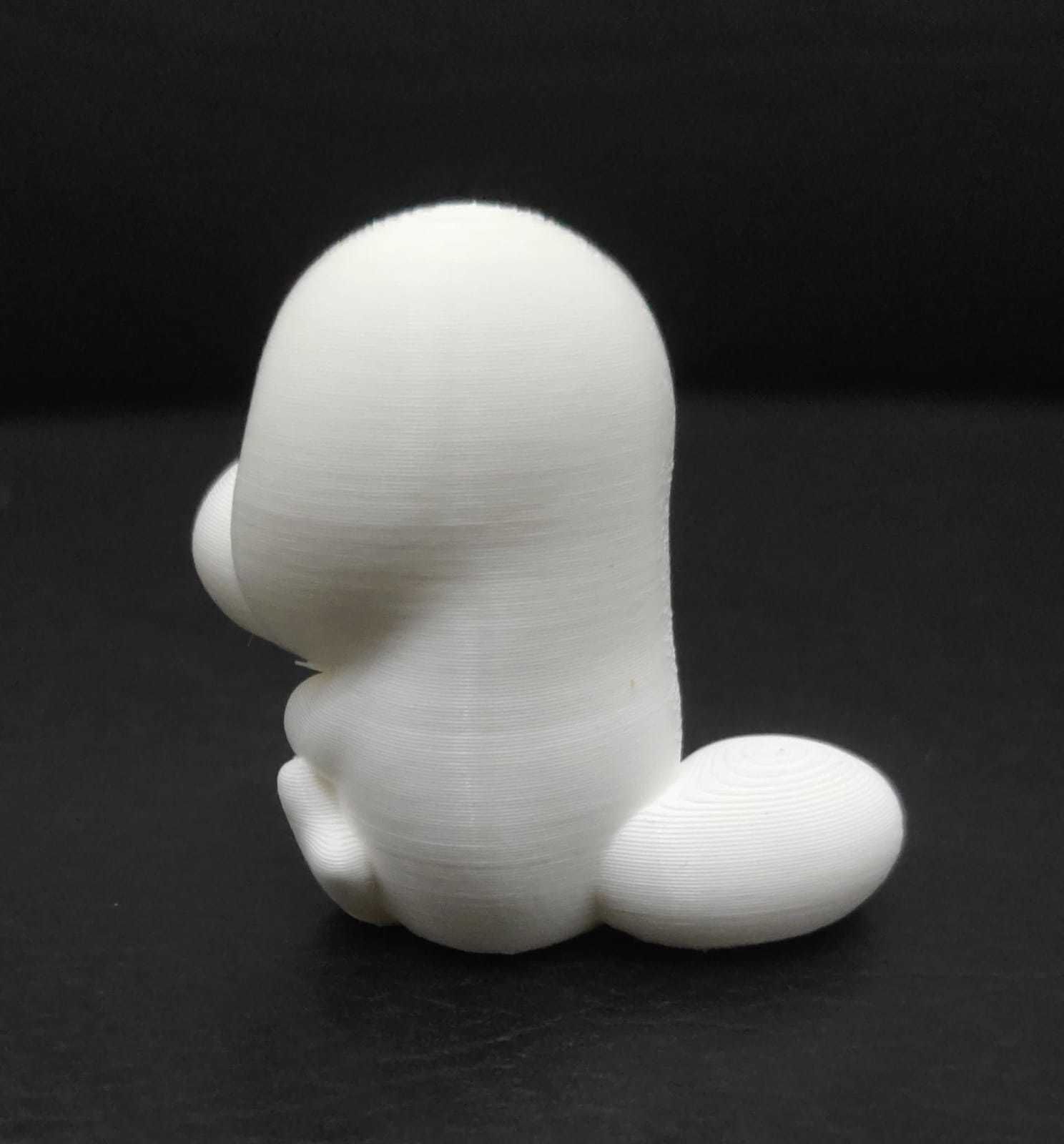 Platypus Heart 3D print model_9