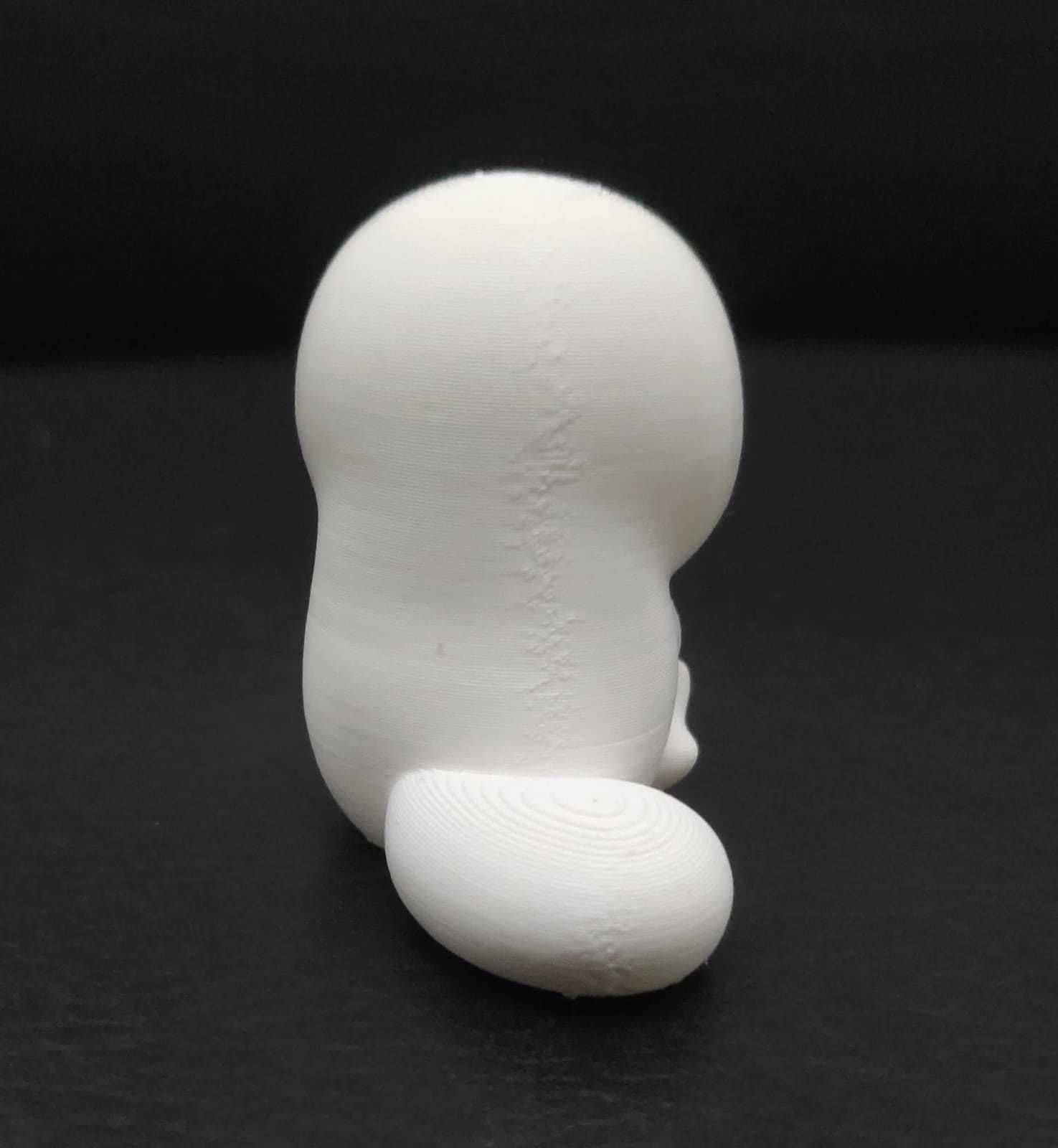 Platypus Heart 3D print model_5