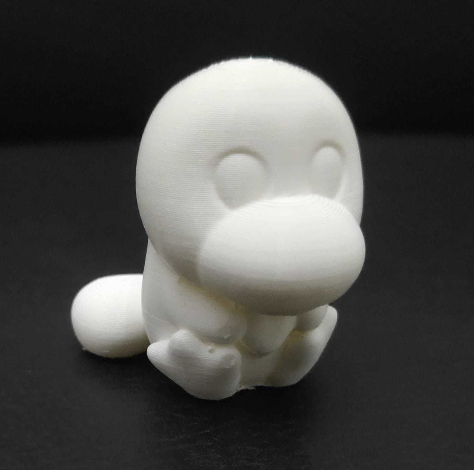 Platypus Heart 3D print model_7