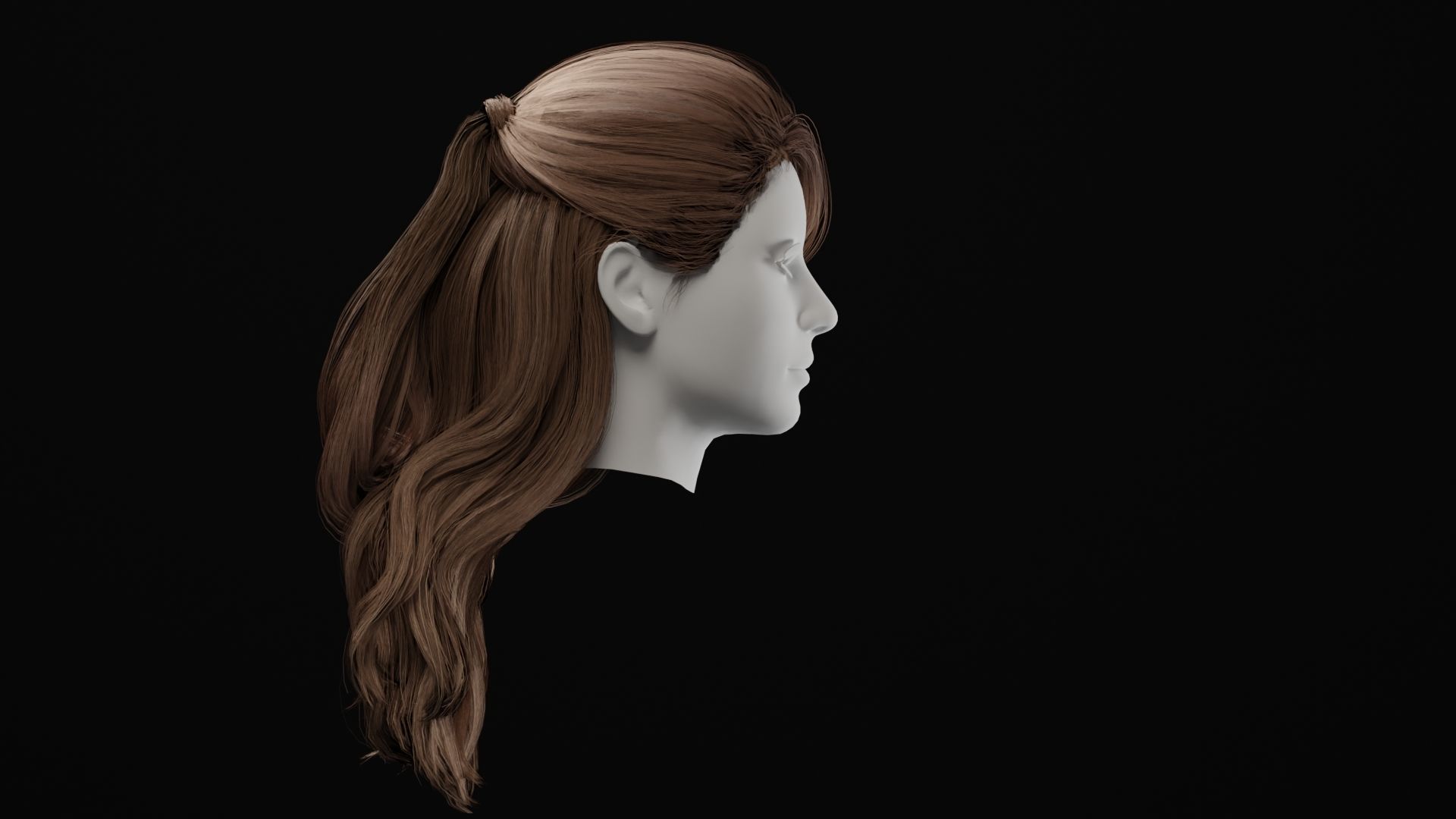 Realistic Female Hair 3D model_3