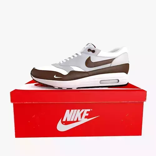Nike Air Max 1 Leather Brown