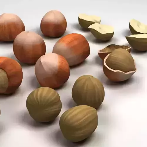 Hazelnut hazelnuts and shells