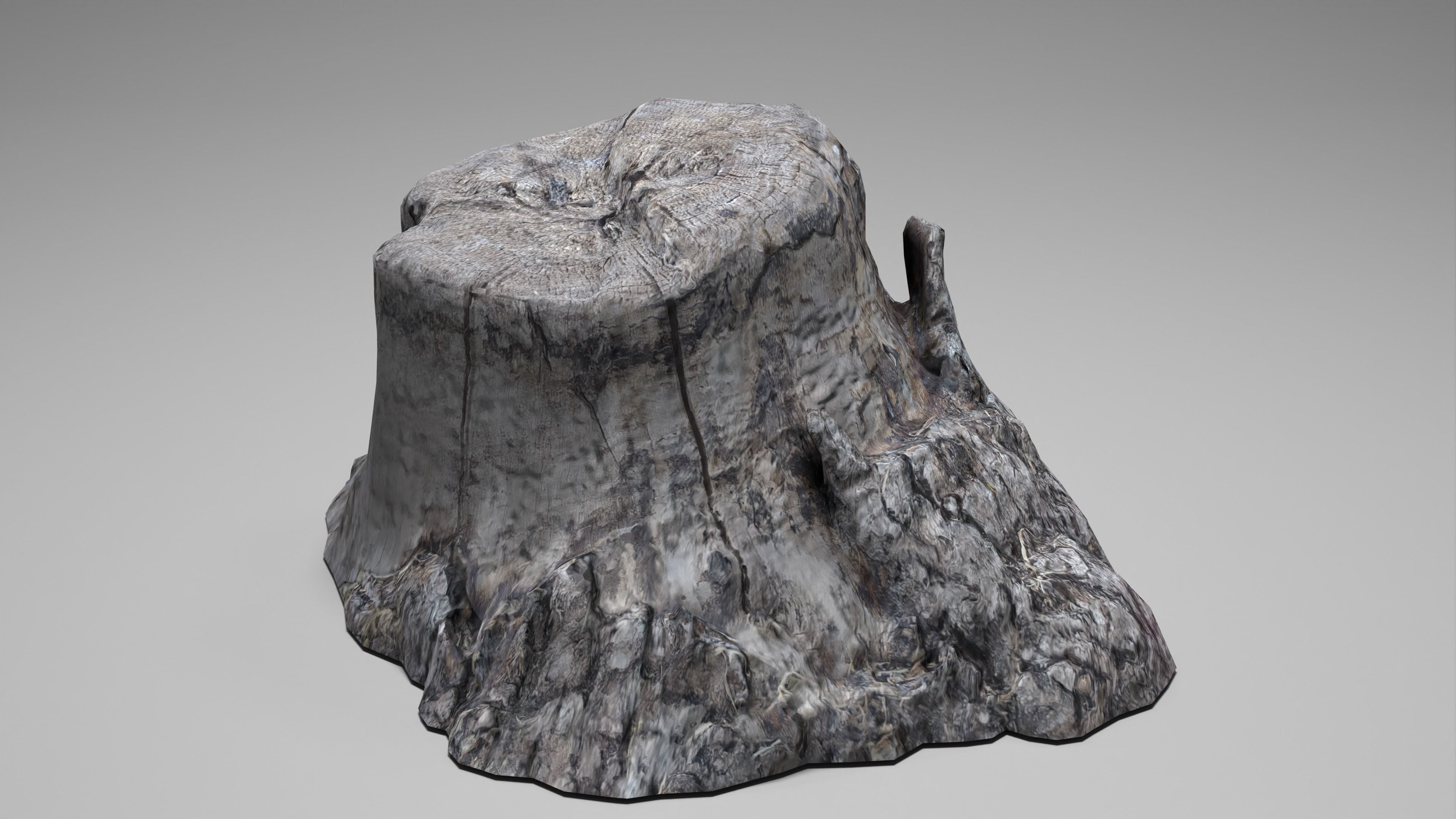 Tree Stump 004 Photoscan PBR Game Ready Low-poly 3D model_9