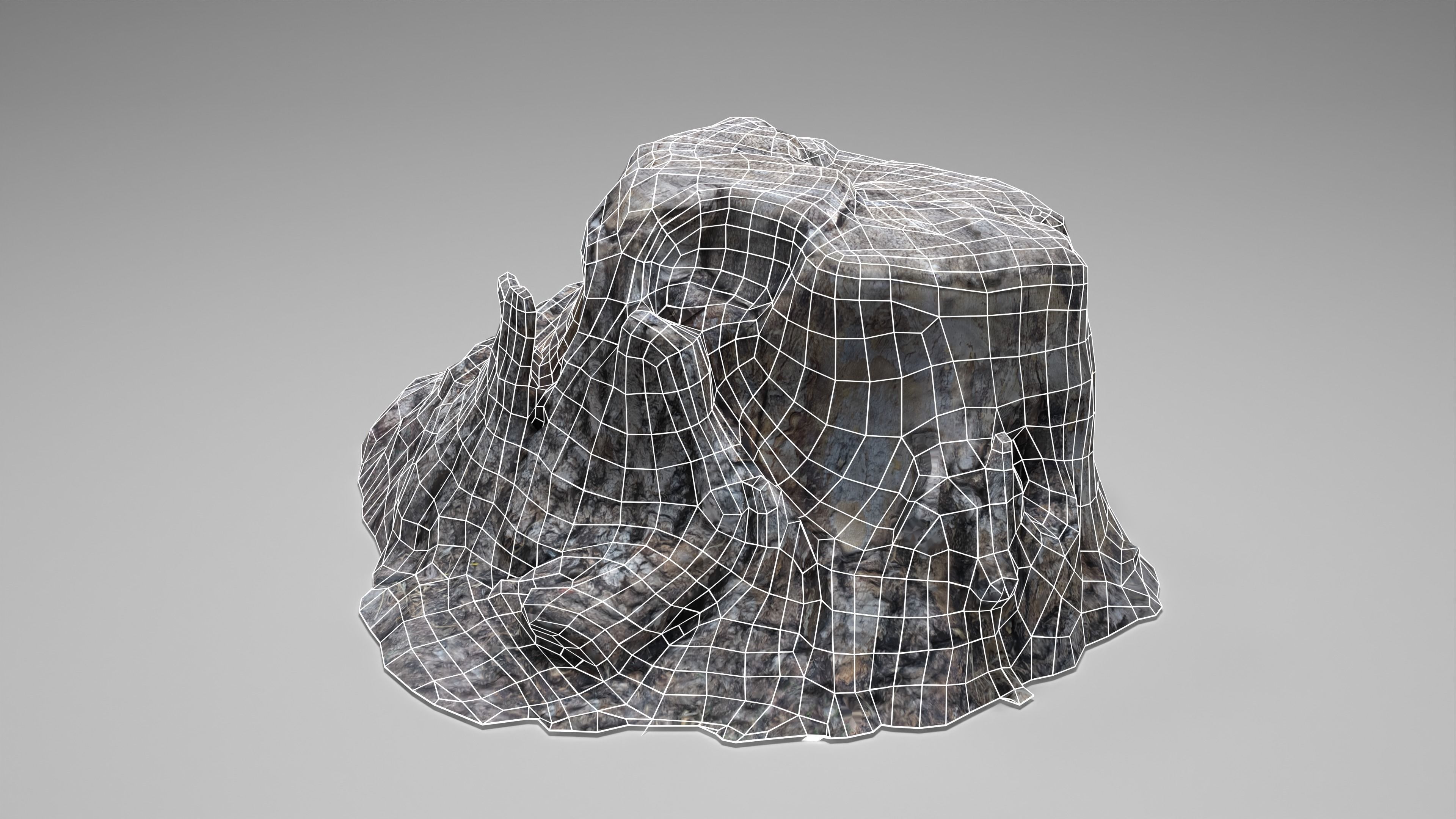 Tree Stump 004 Photoscan PBR Game Ready Low-poly 3D model_19