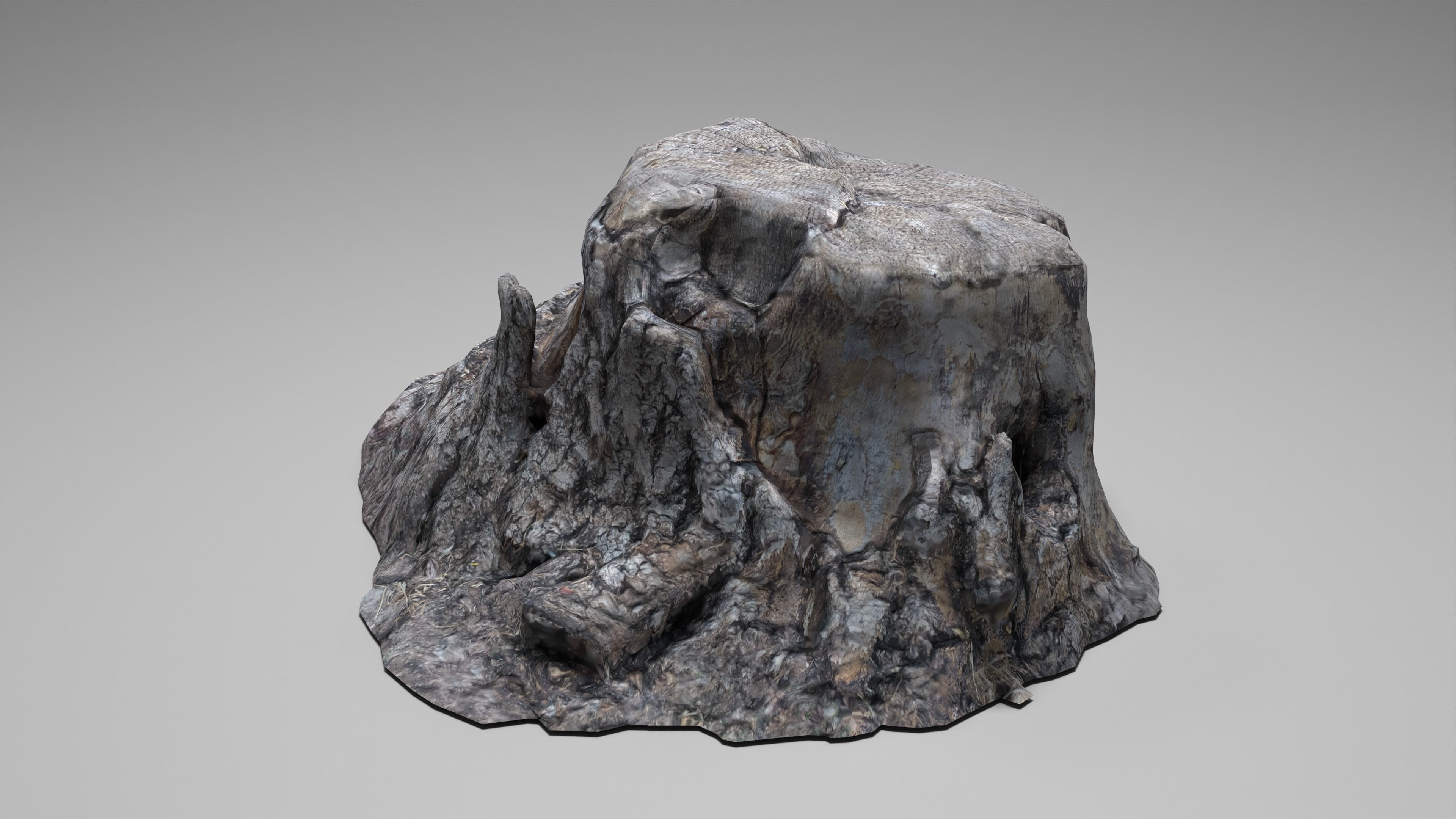 Tree Stump 004 Photoscan PBR Game Ready Low-poly 3D model_18