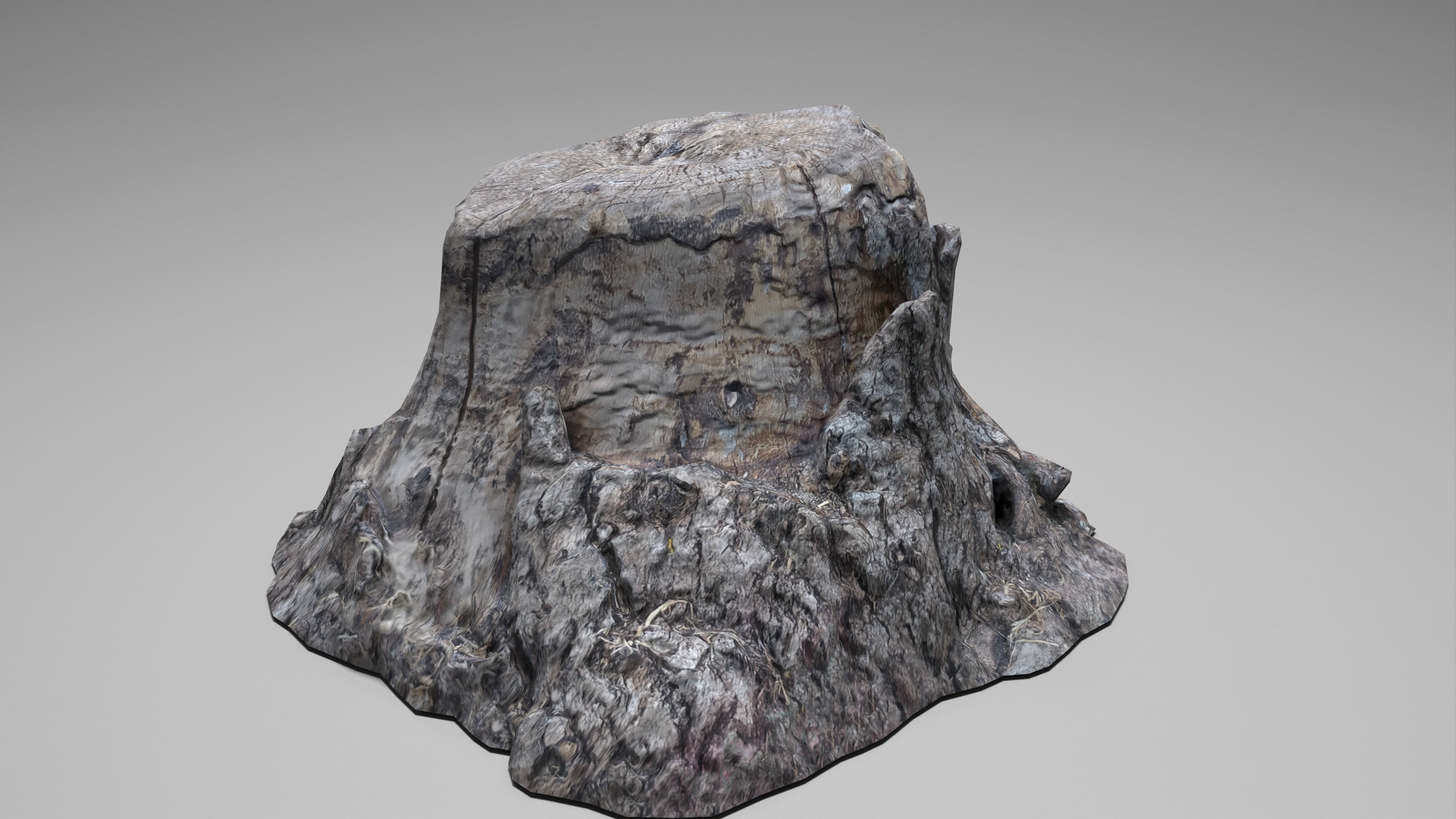 Tree Stump 004 Photoscan PBR Game Ready Low-poly 3D model_6