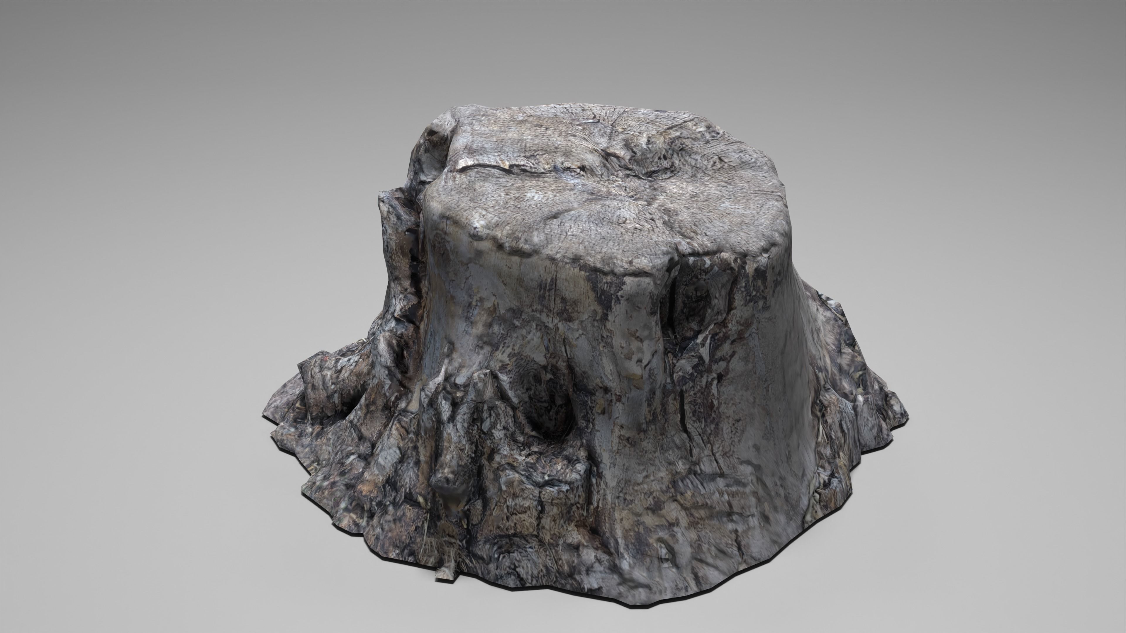 Tree Stump 004 Photoscan PBR Game Ready Low-poly 3D model_15