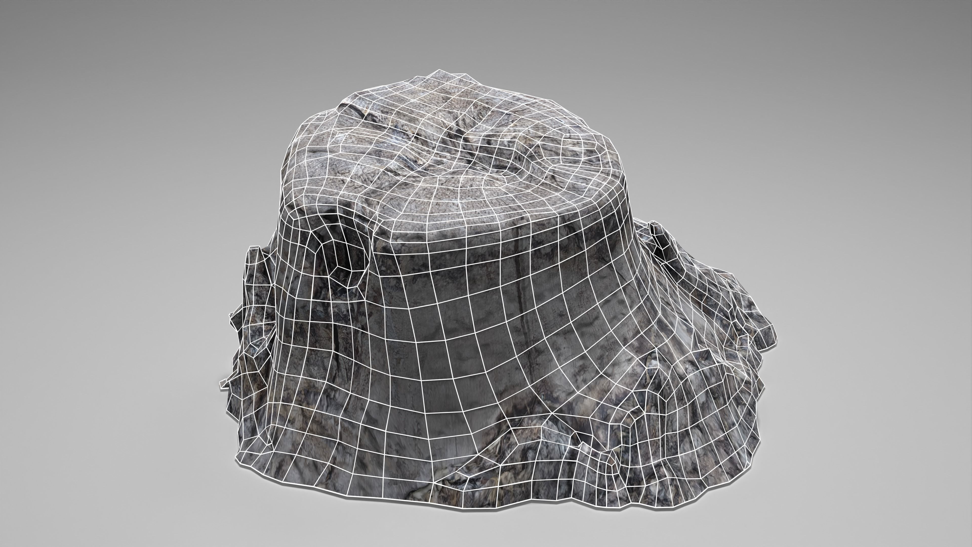 Tree Stump 004 Photoscan PBR Game Ready Low-poly 3D model_13