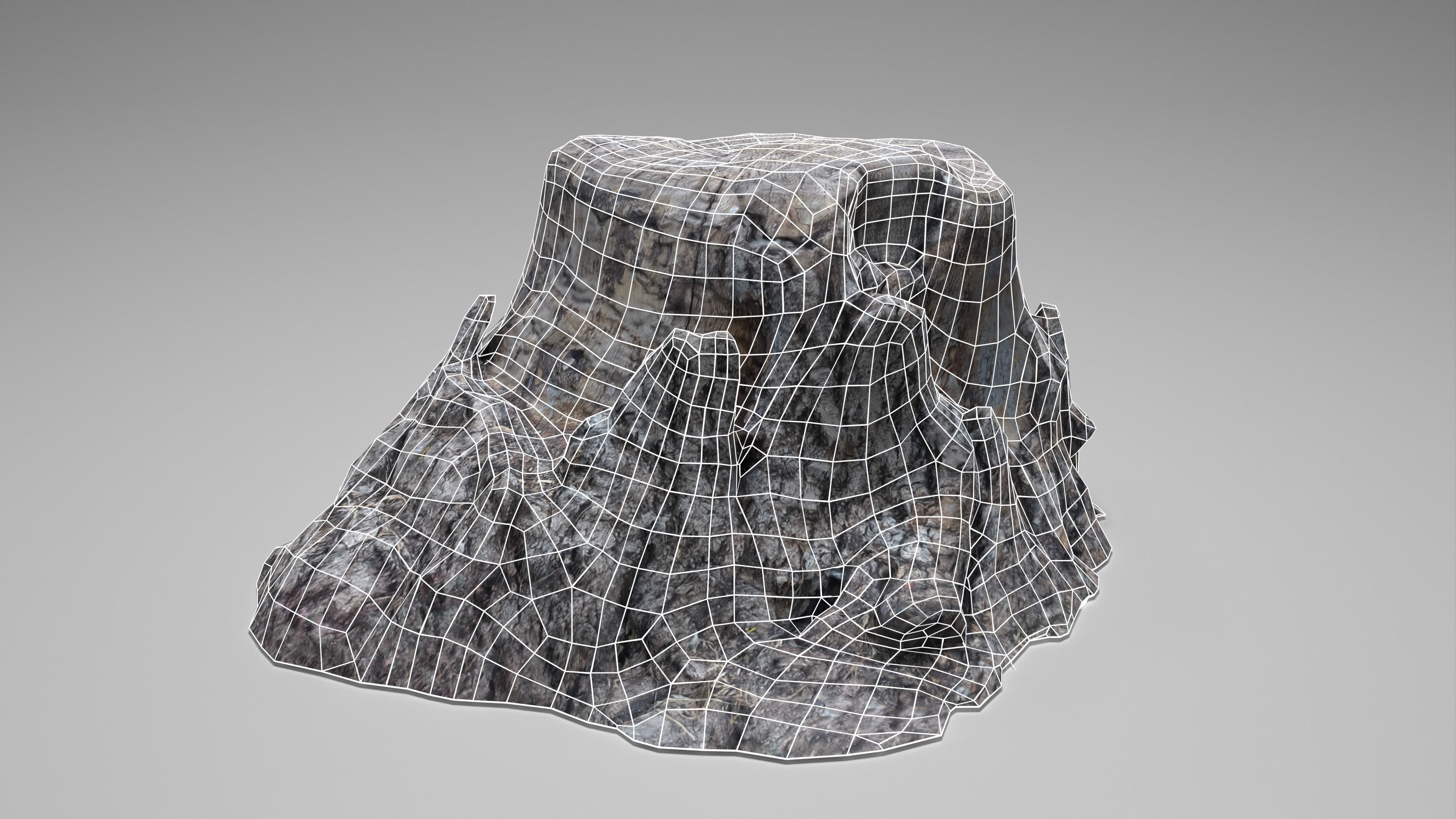 Tree Stump 004 Photoscan PBR Game Ready Low-poly 3D model_4