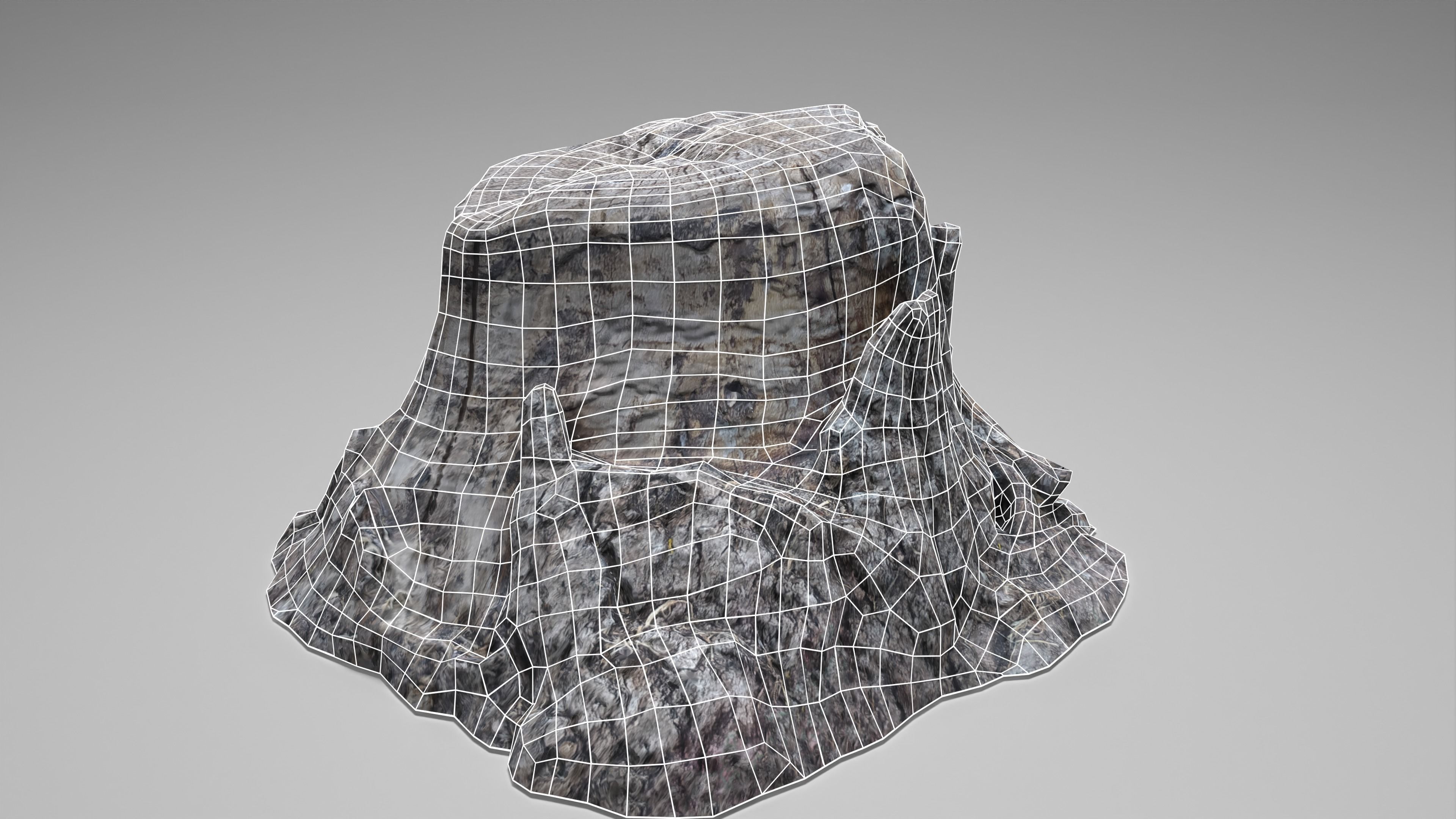 Tree Stump 004 Photoscan PBR Game Ready Low-poly 3D model_7