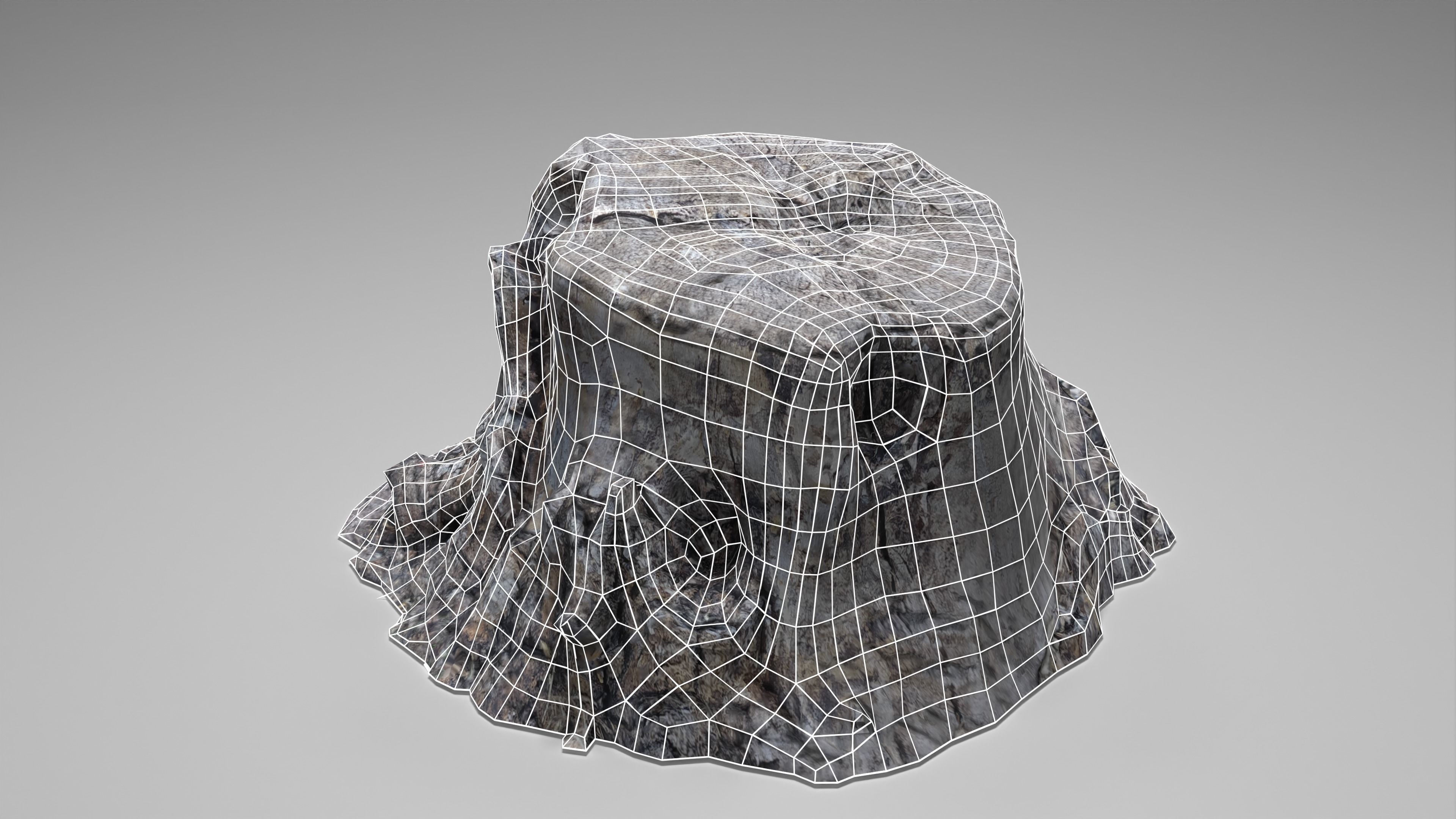 Tree Stump 004 Photoscan PBR Game Ready Low-poly 3D model_16