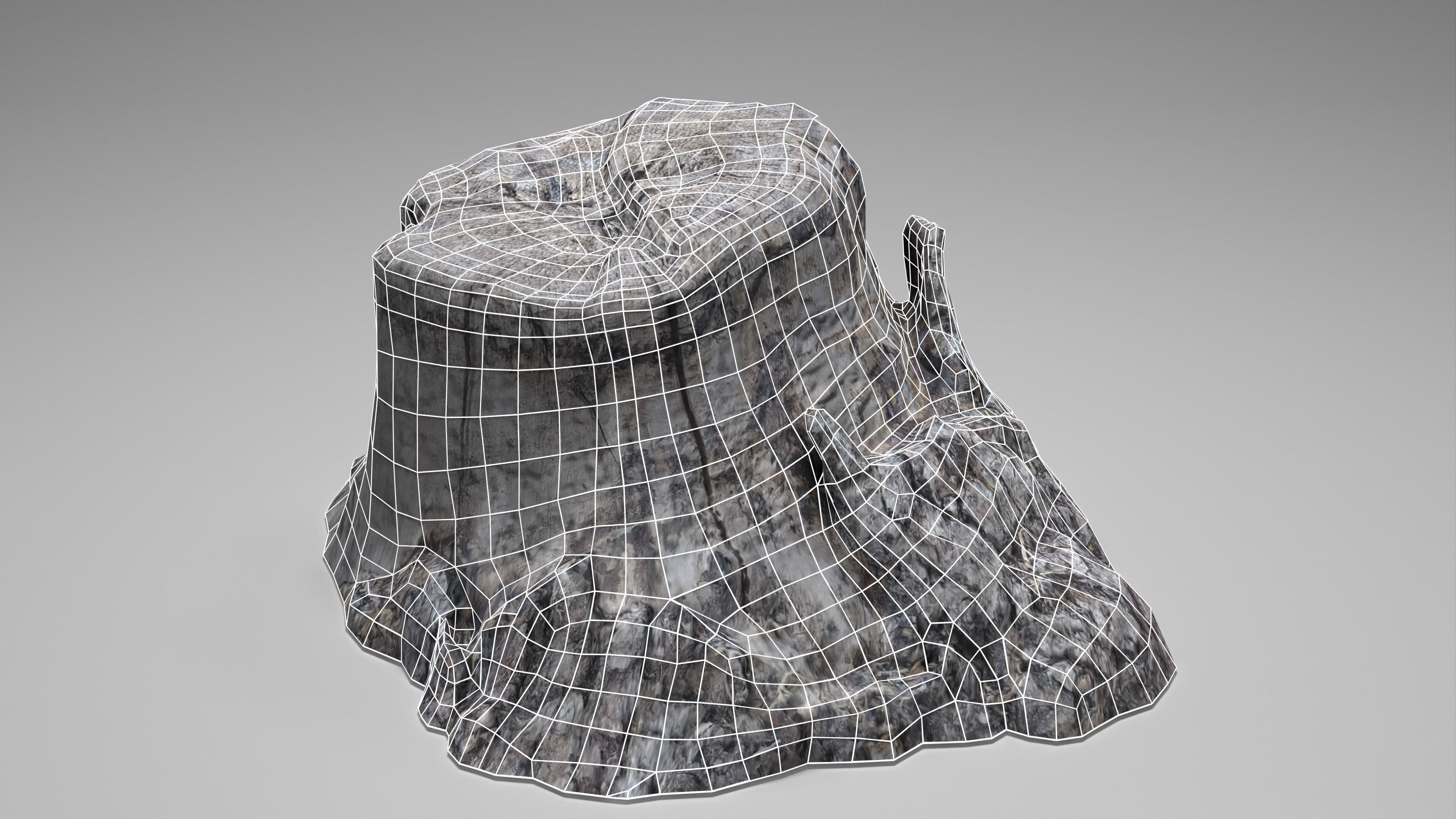 Tree Stump 004 Photoscan PBR Game Ready Low-poly 3D model_10