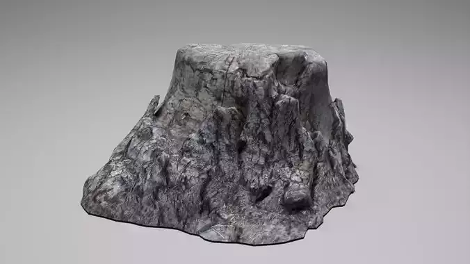 Tree Stump 004 Photoscan PBR Game Ready Low-poly 3D model
