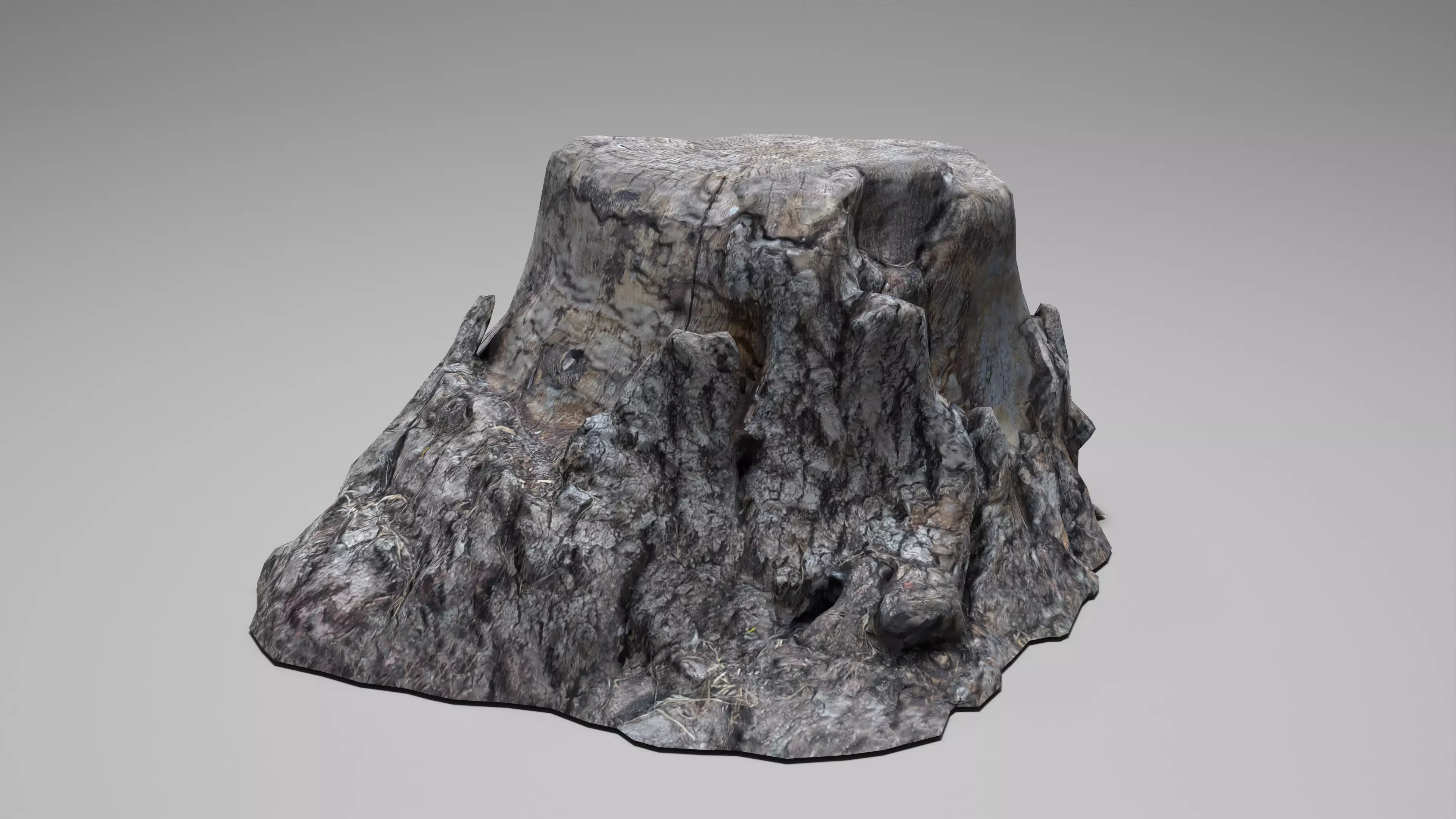 Tree Stump 004 Photoscan PBR Game Ready Low-poly 3D model_0