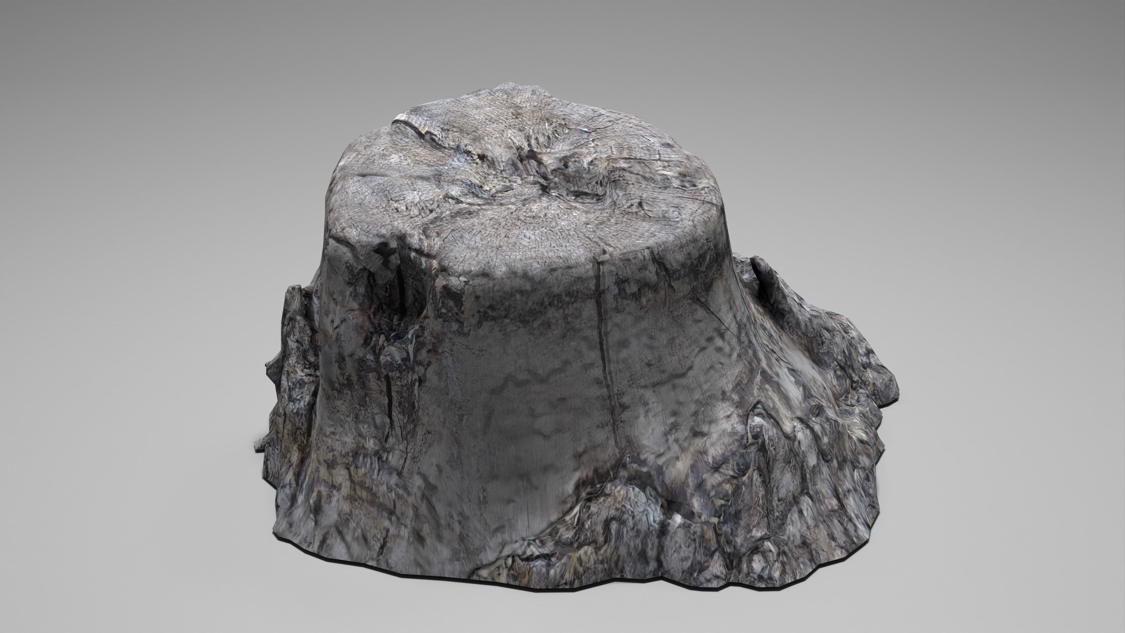 Tree Stump 004 Photoscan PBR Game Ready Low-poly 3D model_12