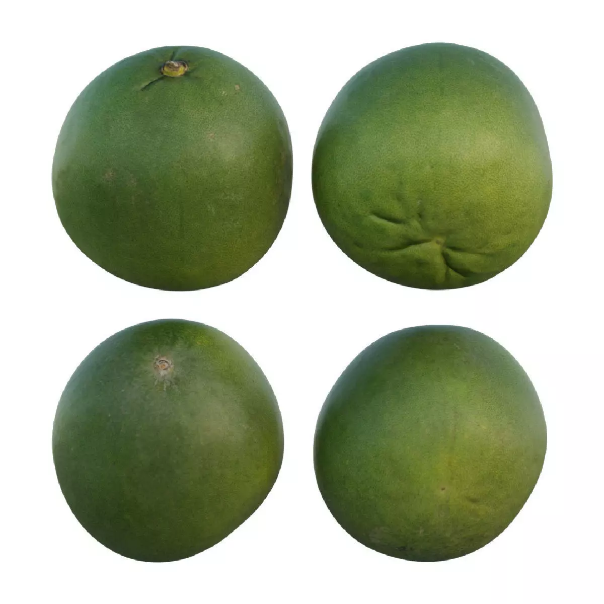 Pomelo 03 3D model_0