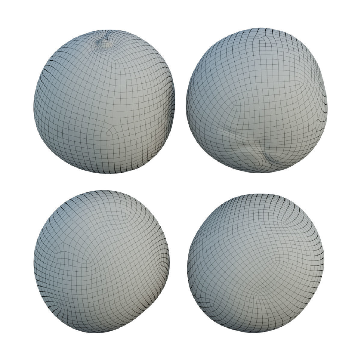 Pomelo 03 3D model_6