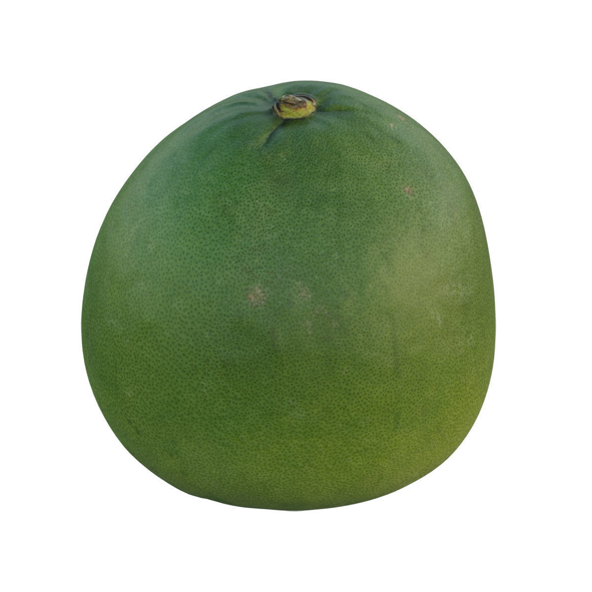 Pomelo 03 3D model_4