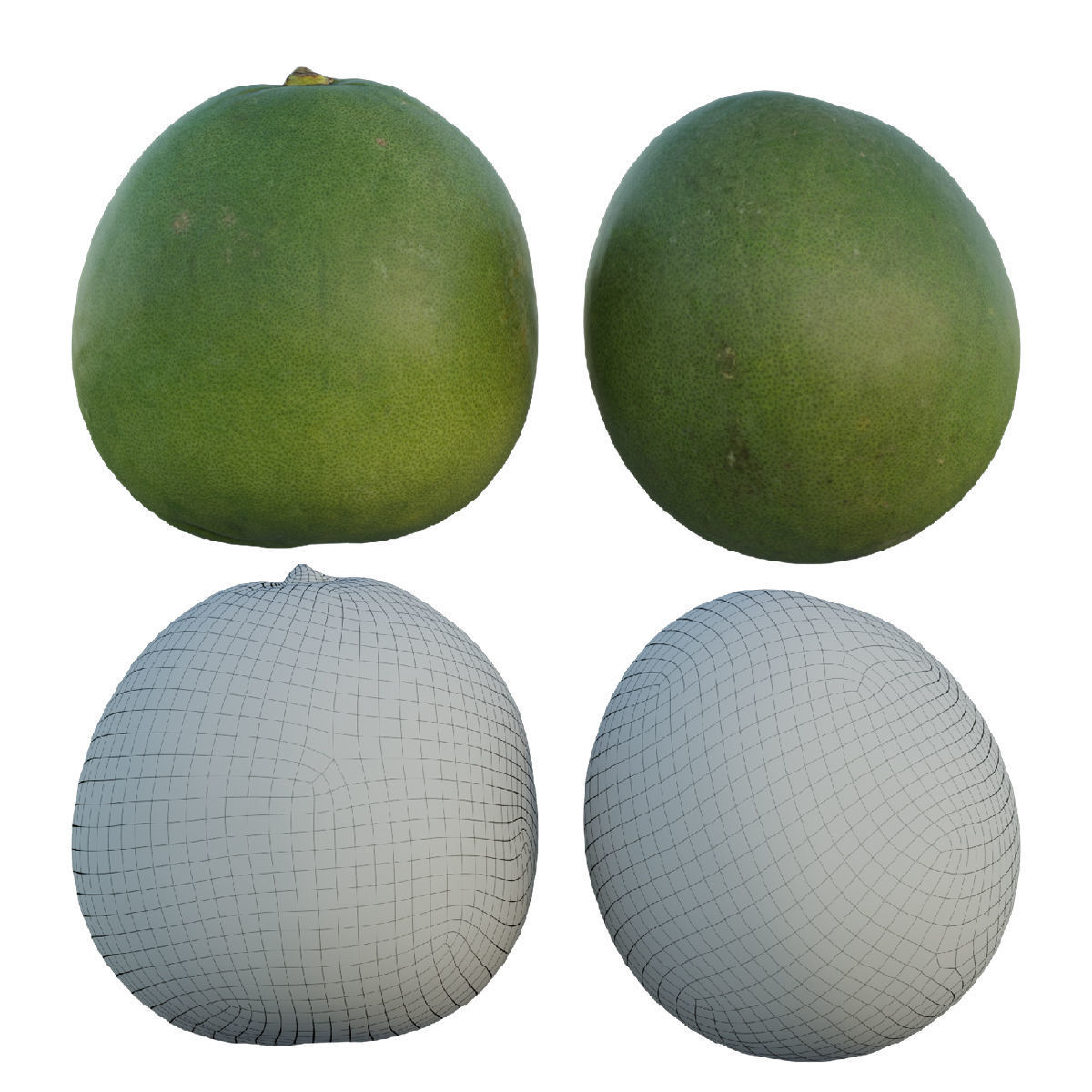 Pomelo 03 3D model_1