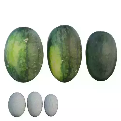 watermelon two watermelons