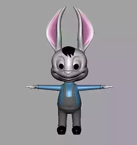 Rabbit Character