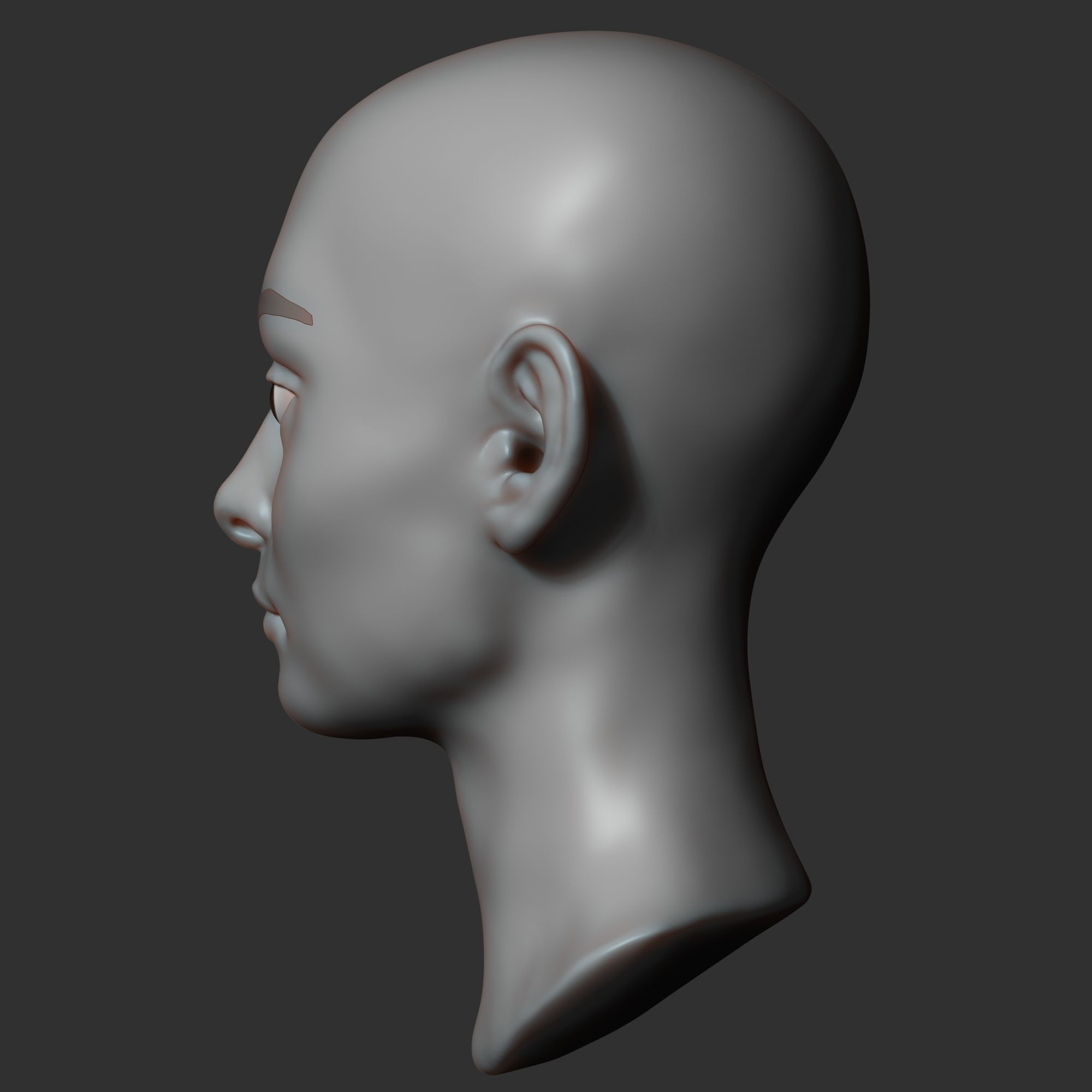 Female head sculpt 3D model_5