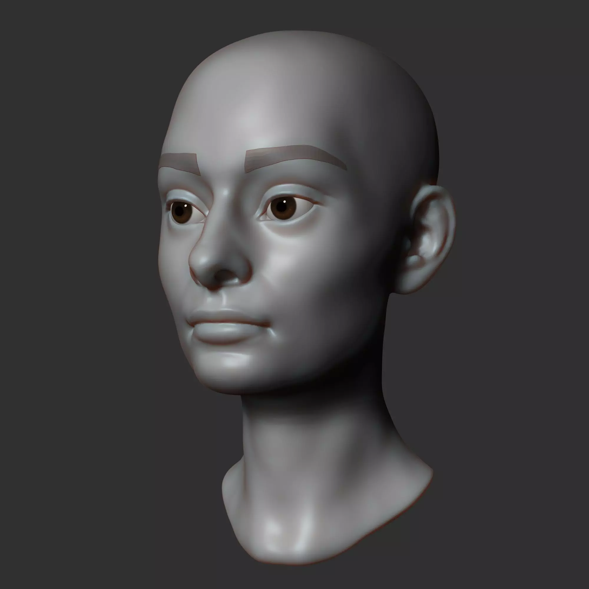 Female head sculpt 3D model_0