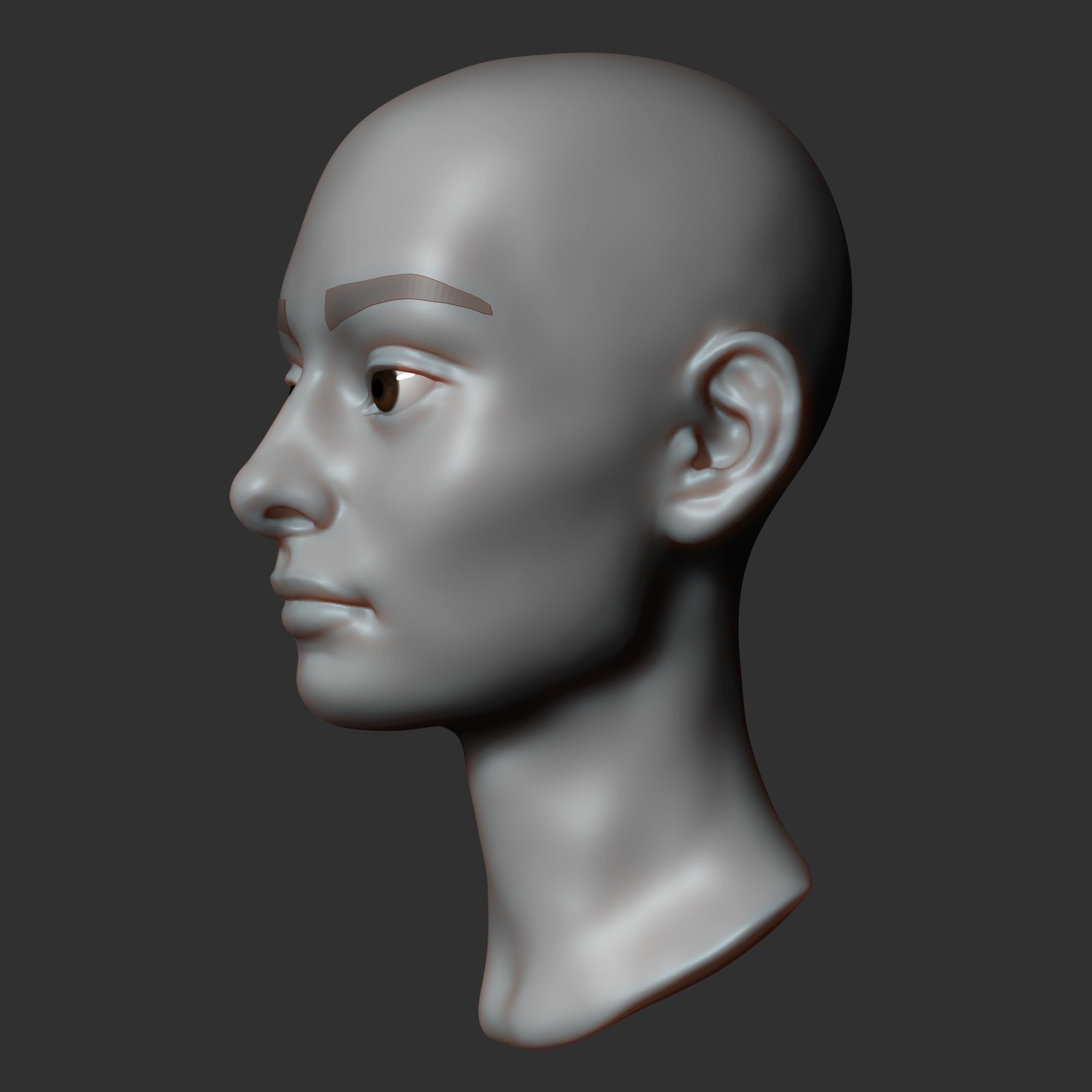 Female head sculpt 3D model_3