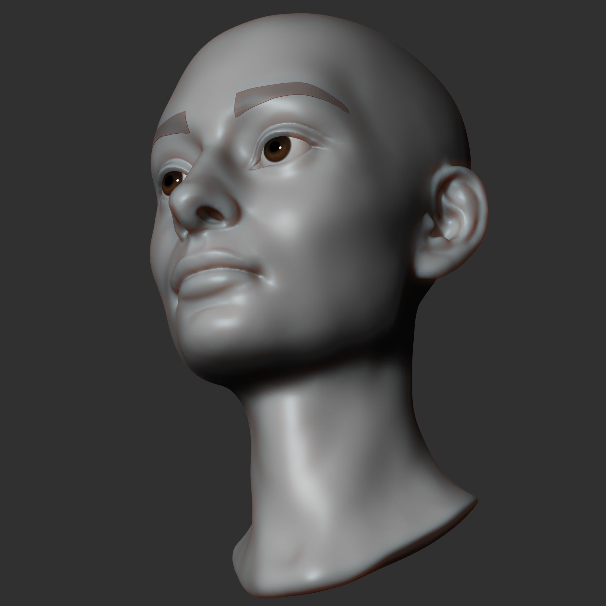 Female head sculpt 3D model_8
