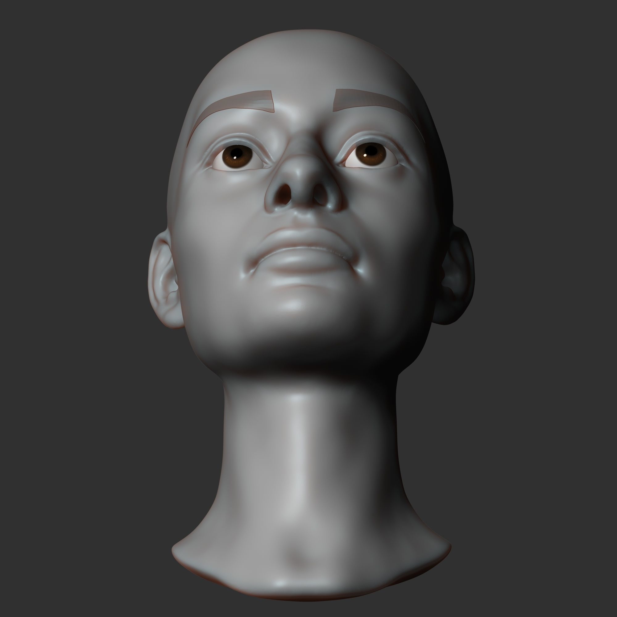 Female head sculpt 3D model_4