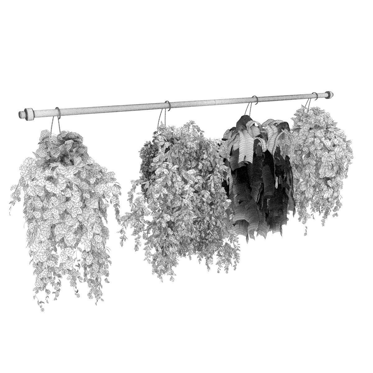 Collection plant vol 360 - hanging - ampelous - indoor - pothos 3D model_4
