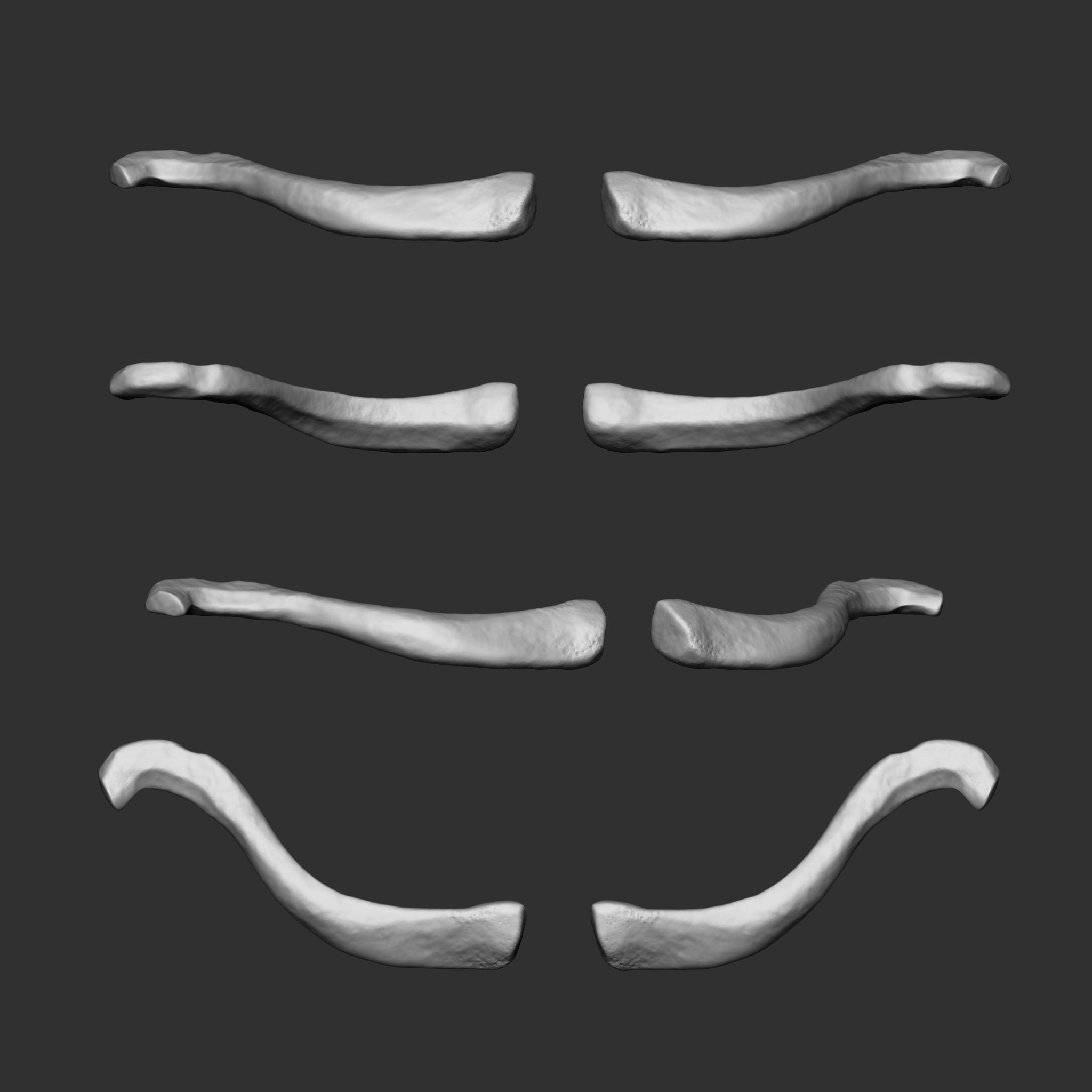 Skeleton Human Bones Collection IMM Stl Obj Brush Pack 26 in One 3D model_14