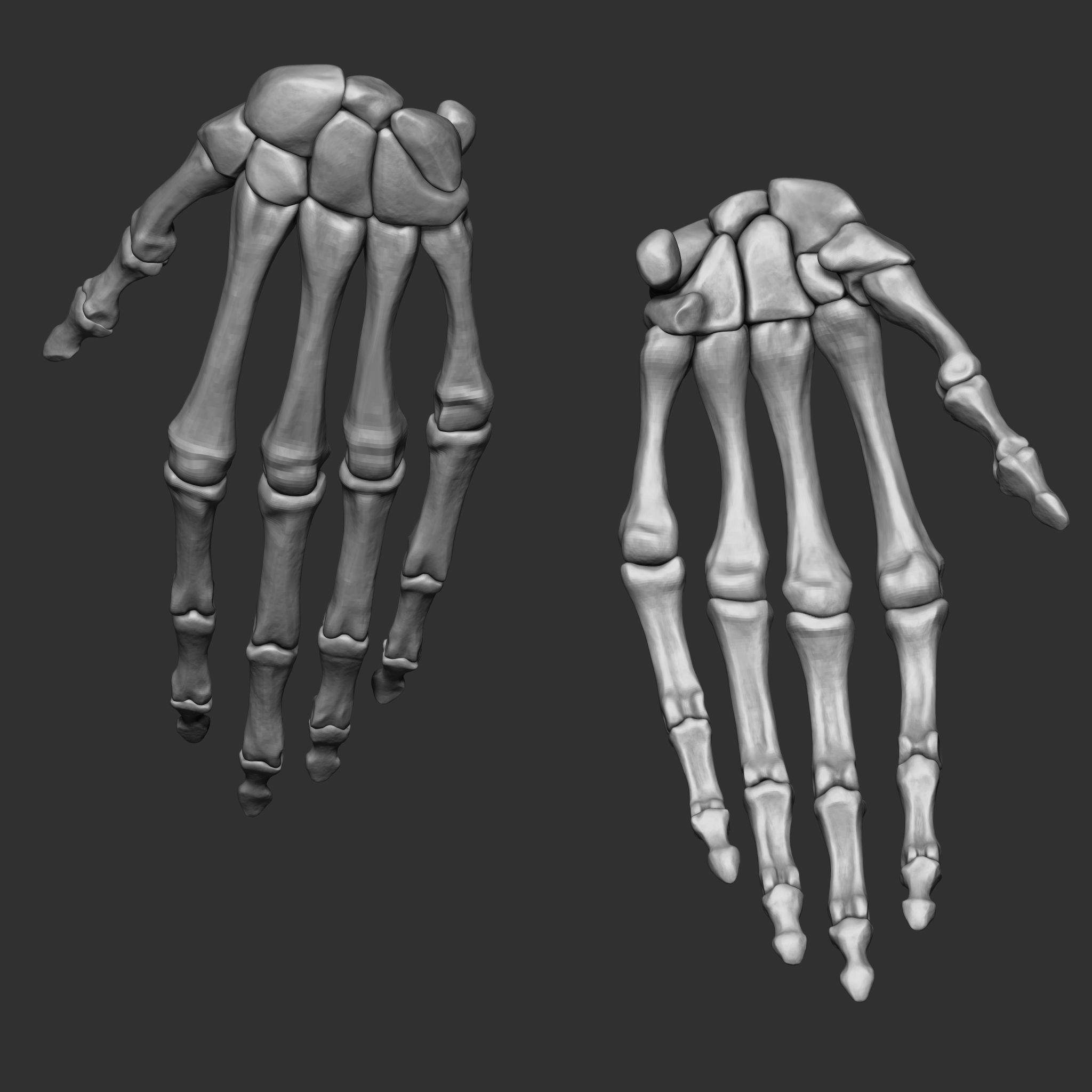 Skeleton Human Bones Collection IMM Stl Obj Brush Pack 26 in One 3D model_17