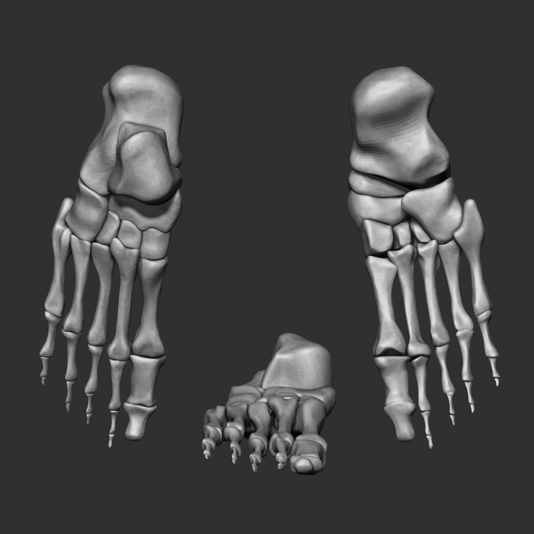 Skeleton Human Bones Collection IMM Stl Obj Brush Pack 26 in One 3D model_13