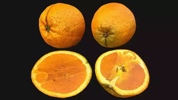 Orange Fruit Citrus Tropical Food Dessert Low-poly 3D model