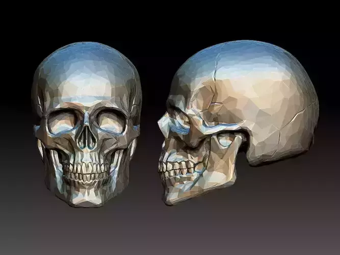 Cool Lowpoly Skull 