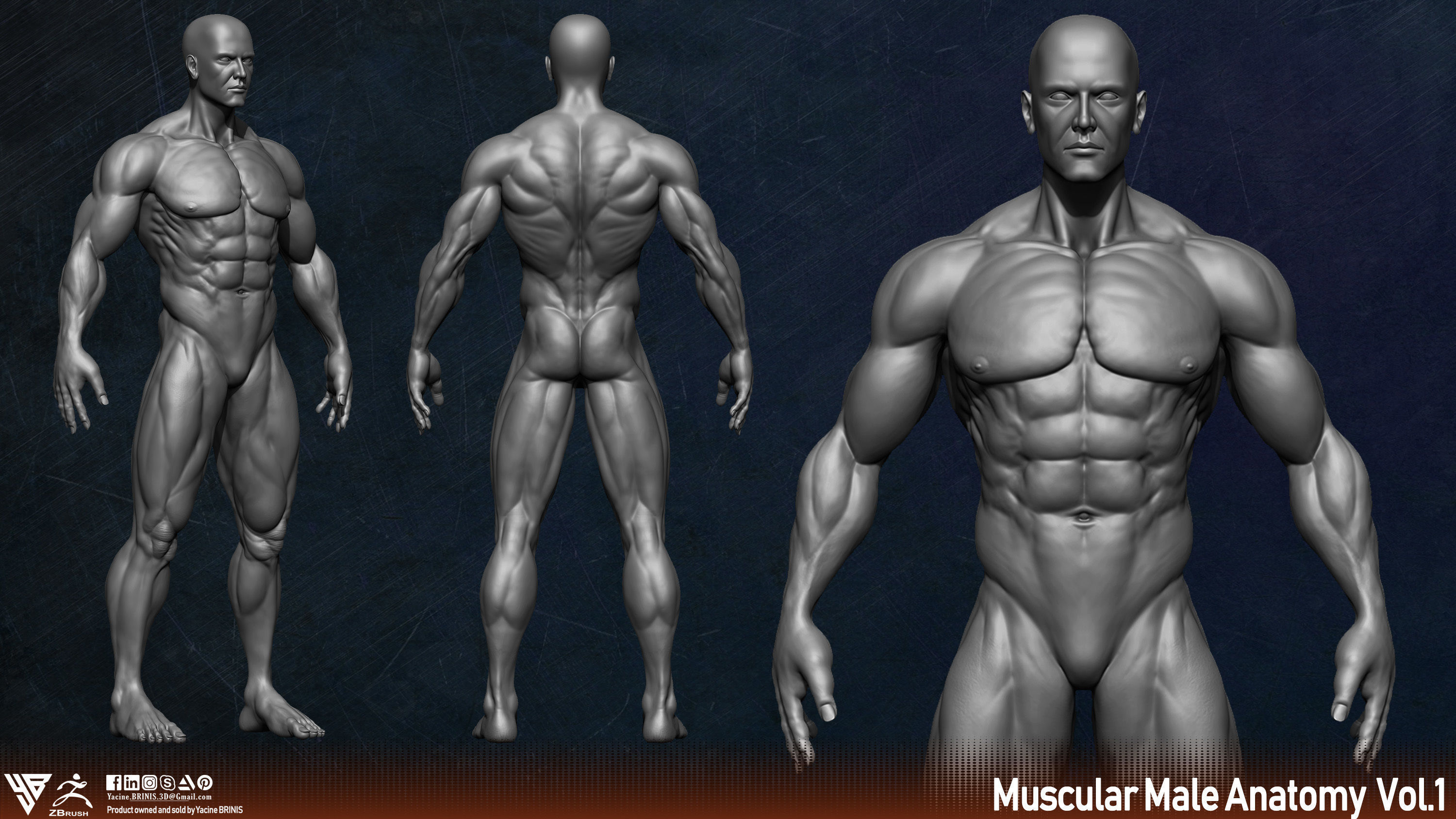 Muscular Human Anatomy Human base mesh Low-poly 3D model_6