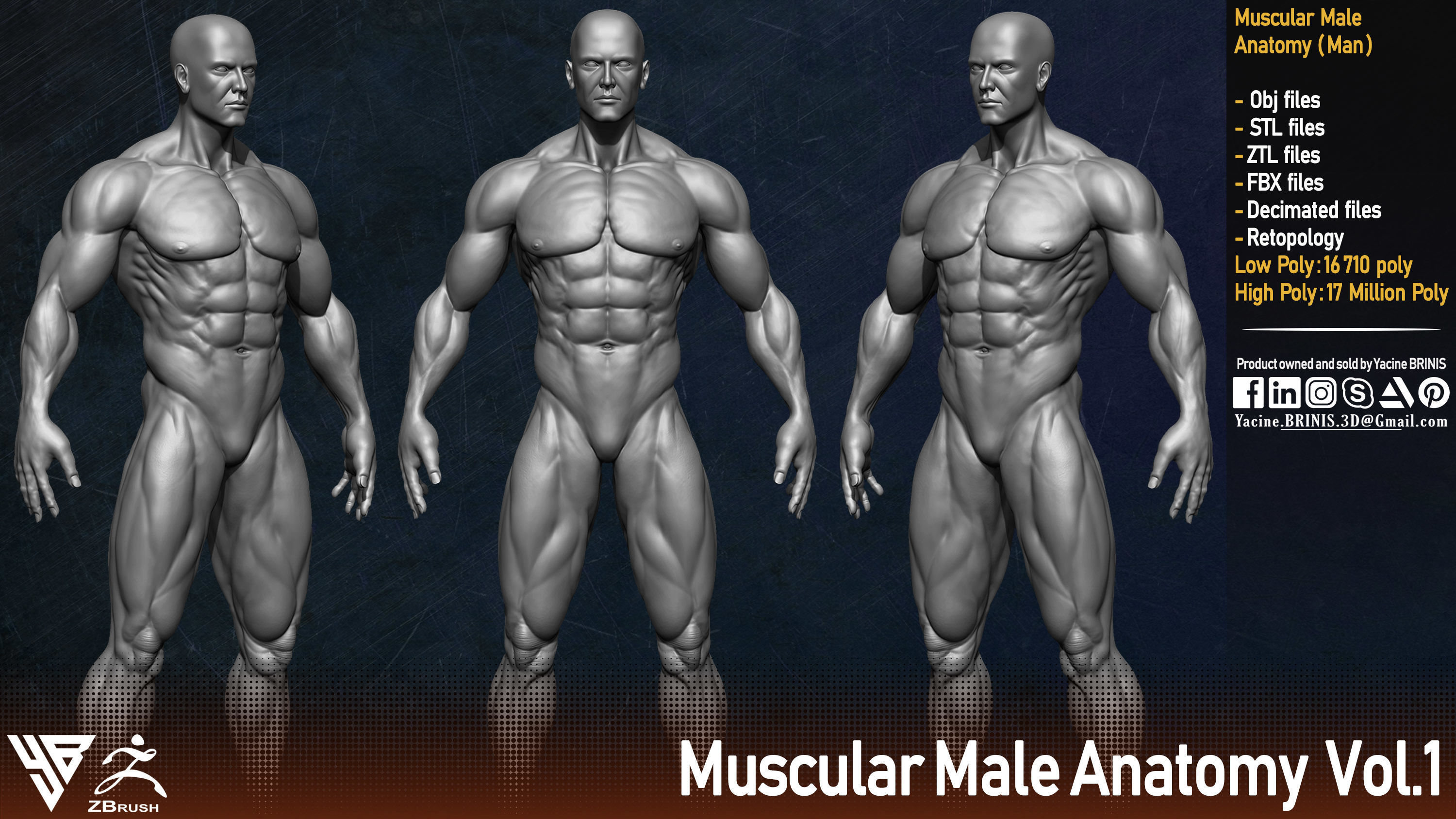 Muscular Human Anatomy Human base mesh Low-poly 3D model_1