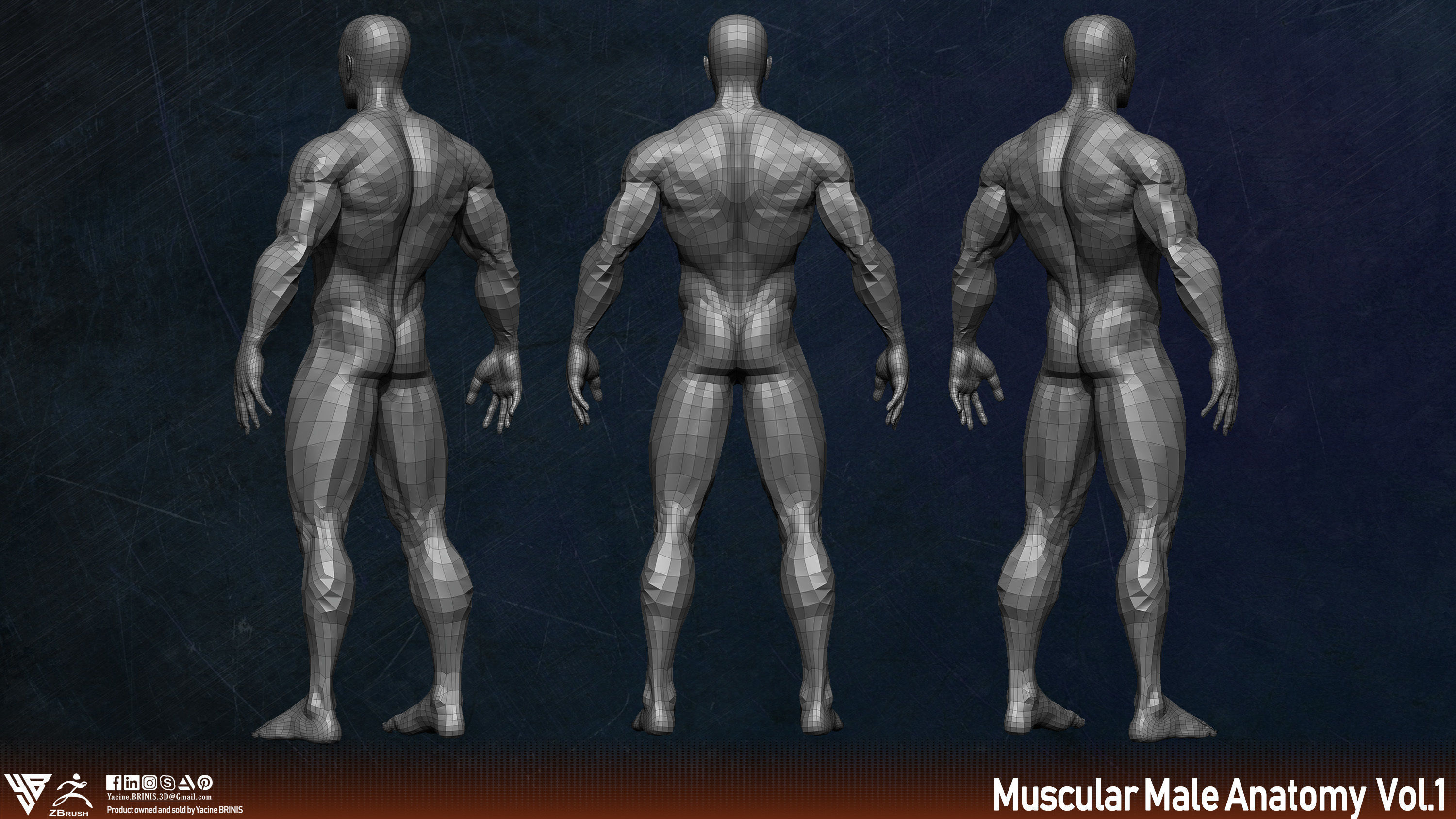 Muscular Human Anatomy Human base mesh Low-poly 3D model_5